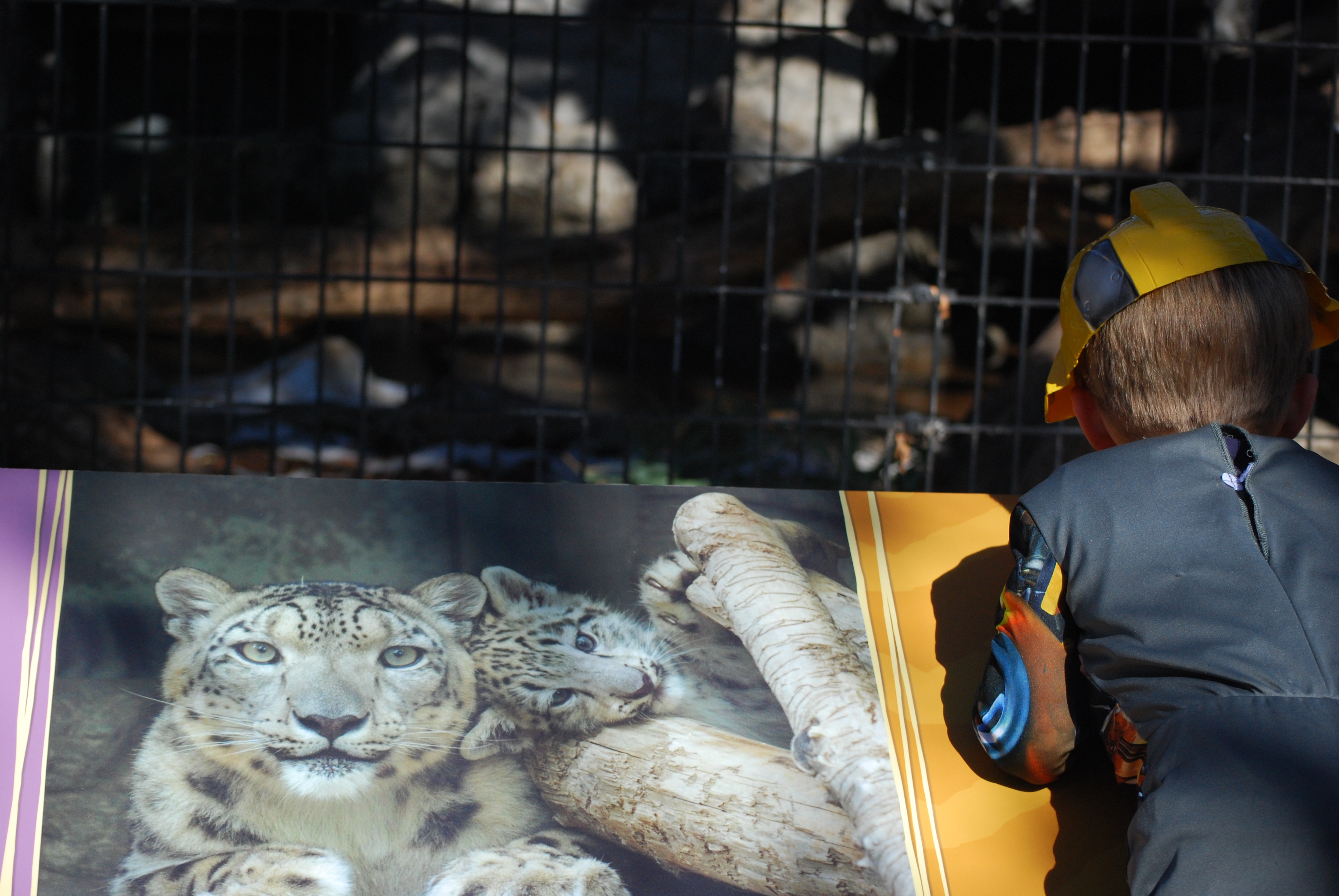 Boo at the Zoo, Denver Zoo, Denver, Colorado 2009