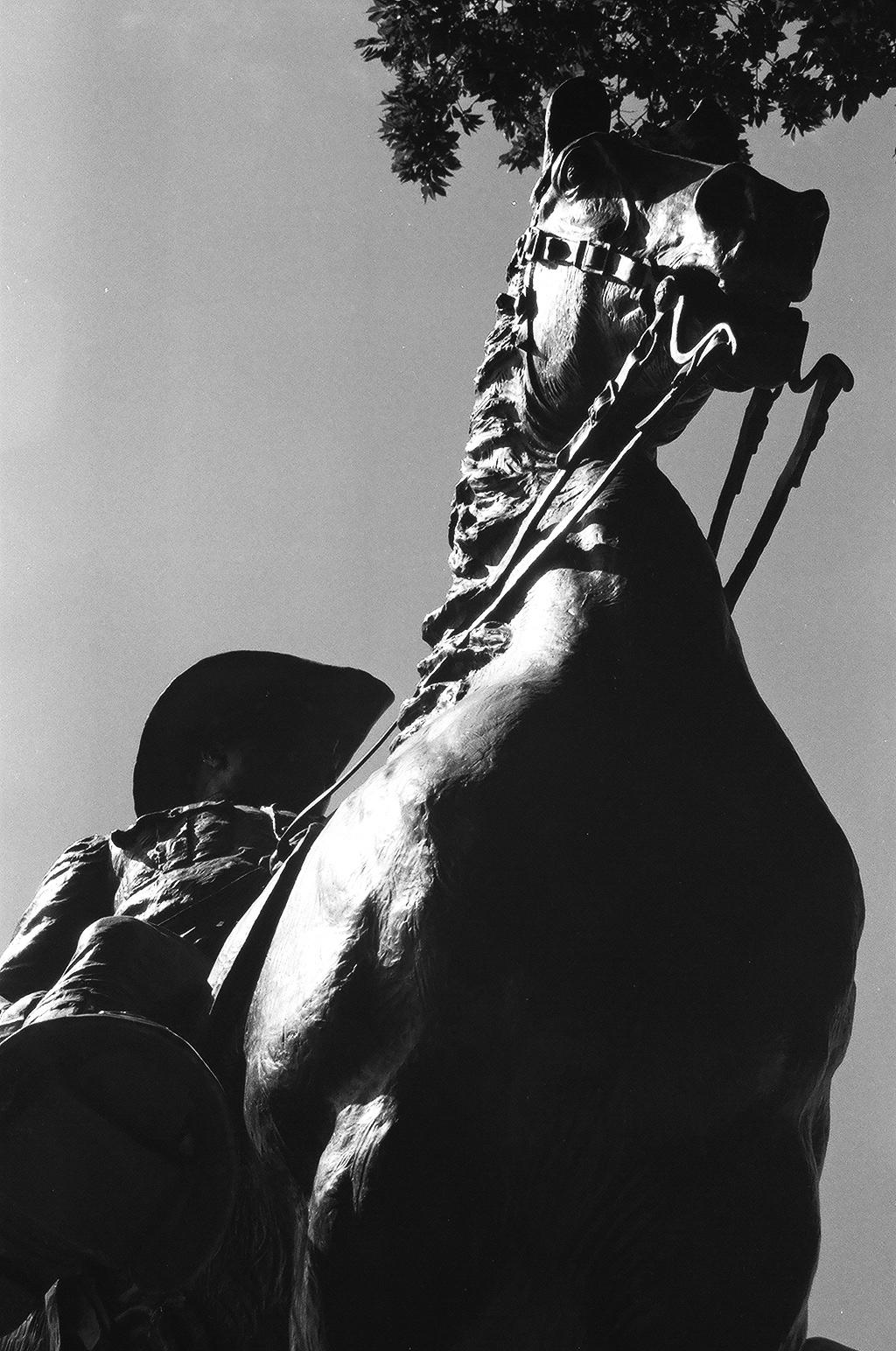 Portland, Oregon 2007