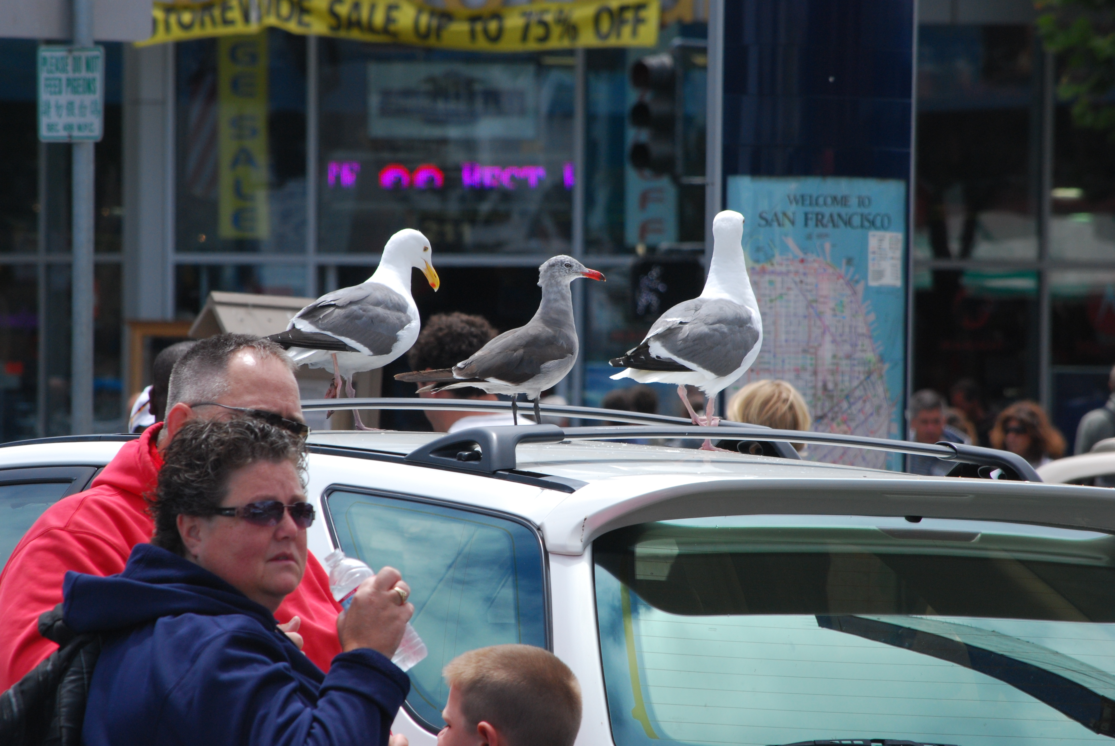 San Francisco, California 2009