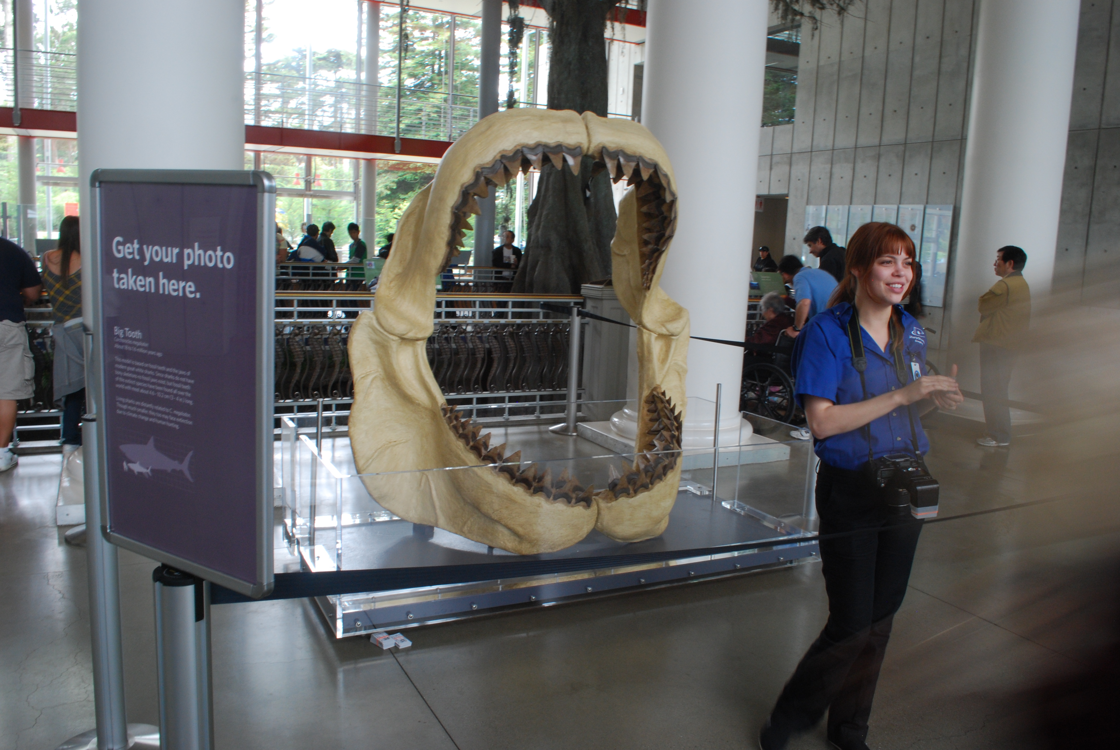 California Academy of Sciences, San Francisco, California 2009