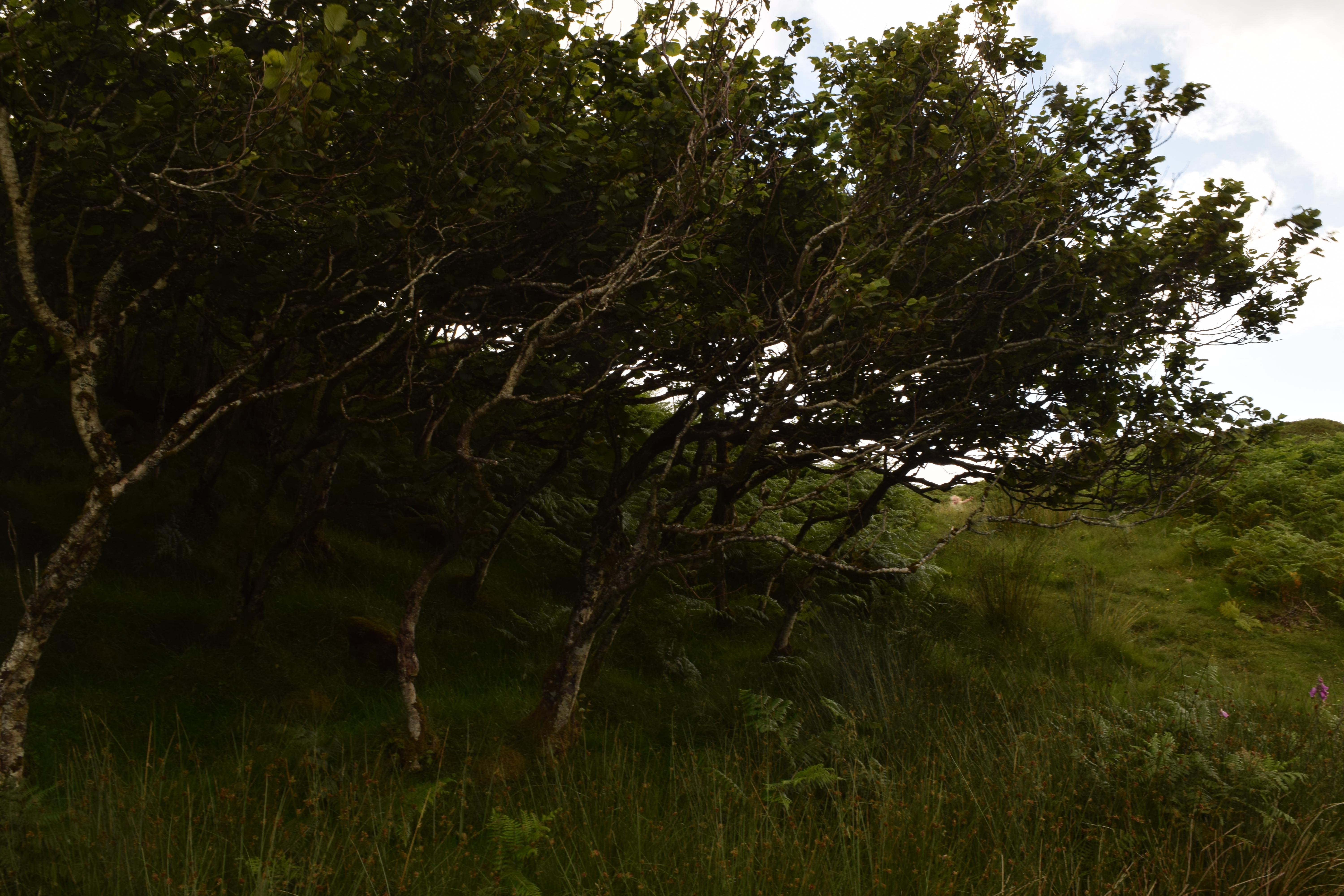 Fairy Glen, Uig, Isle of Skye, Scotland 2025