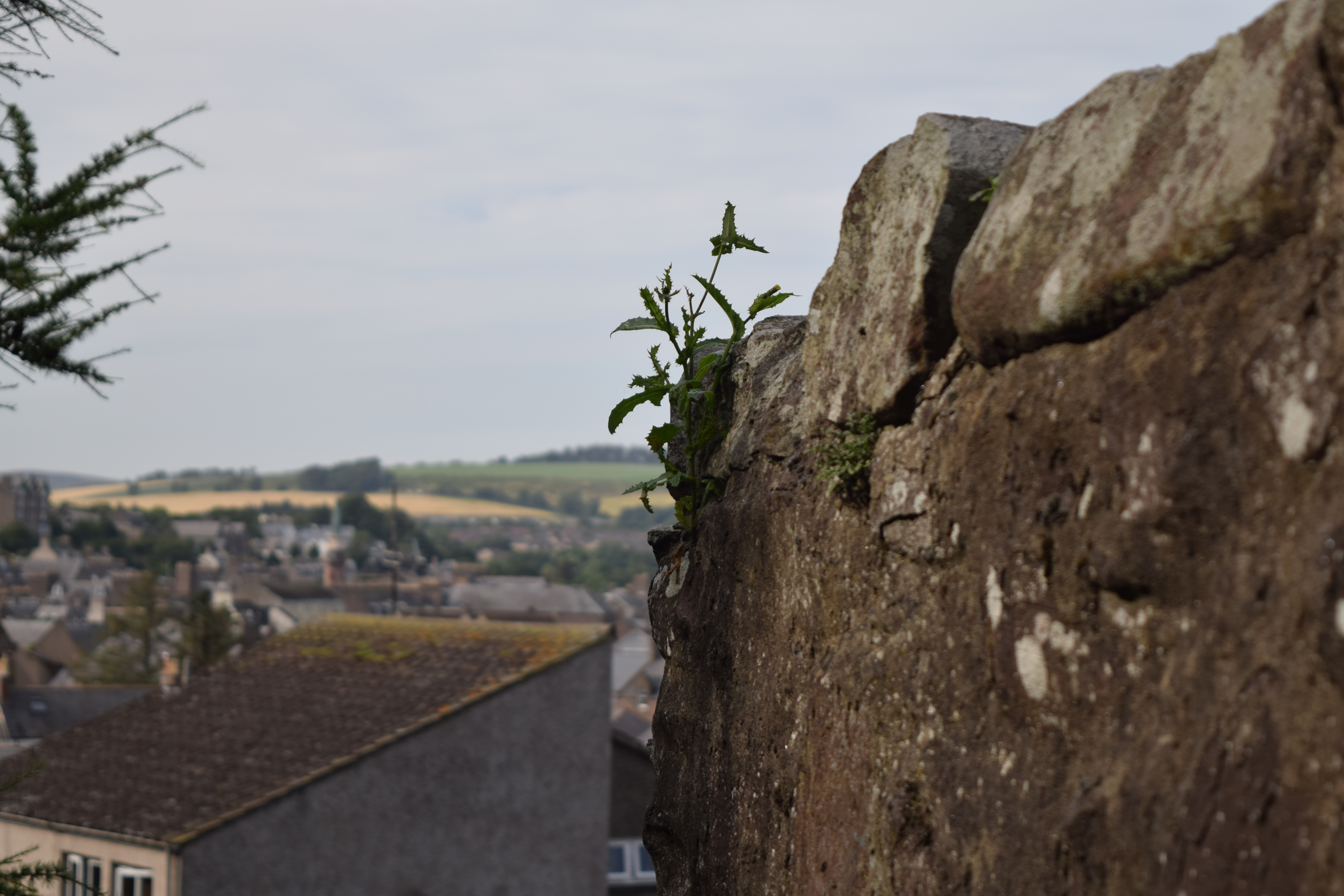 Stonehaven, Scotland 2025