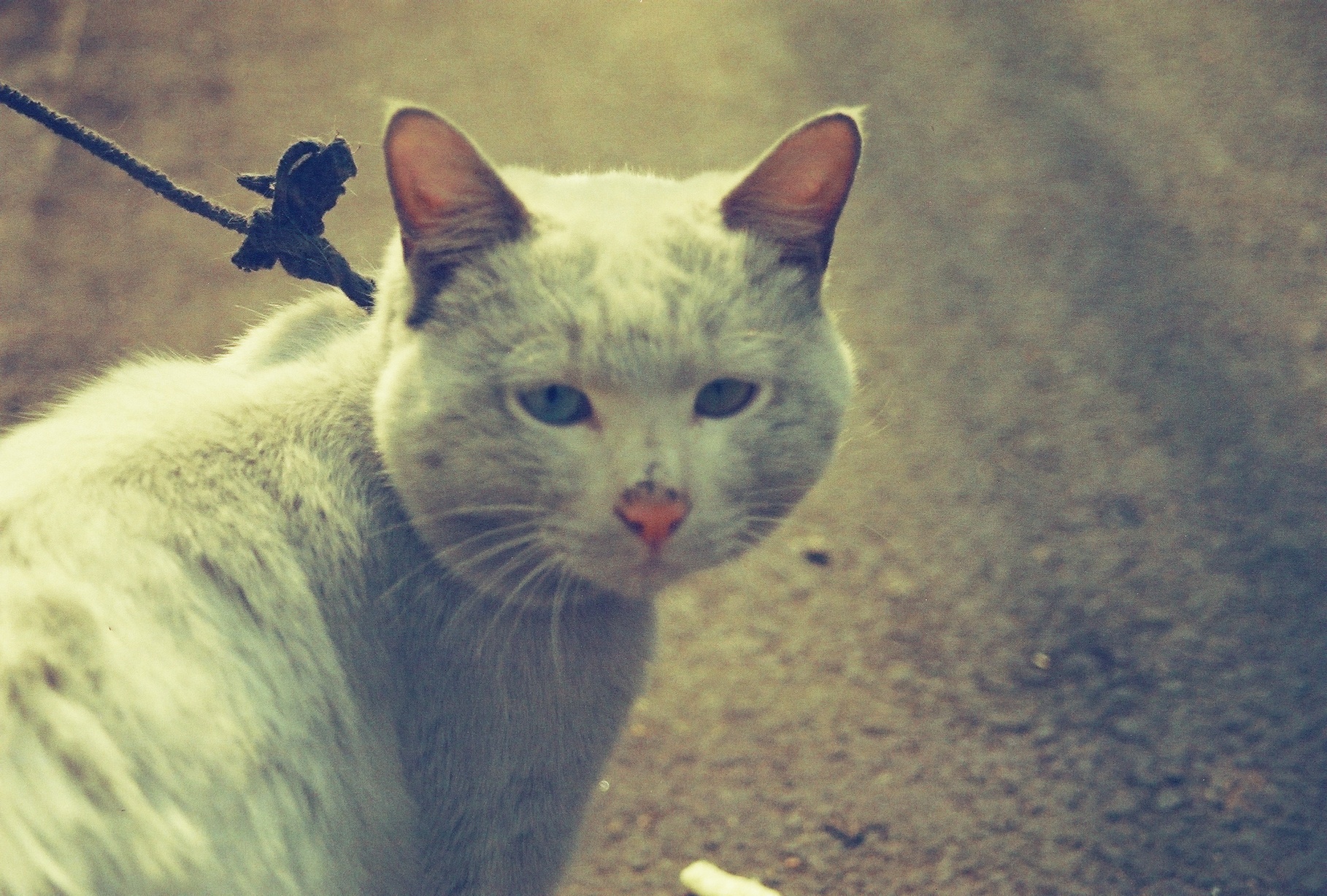 Xi'an, Shaanxi Province, China 2007