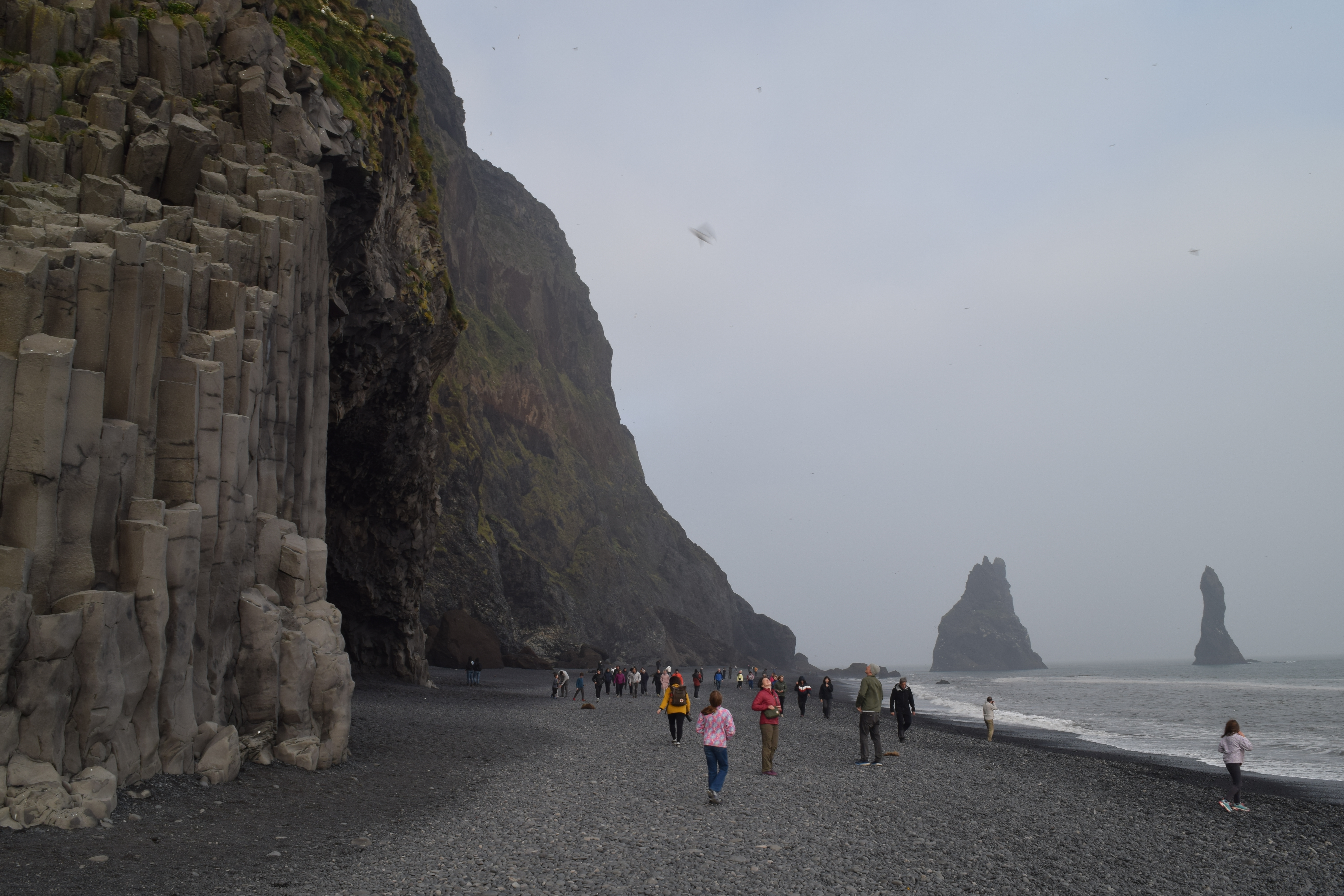 Reynisfjara, Iceland 2025