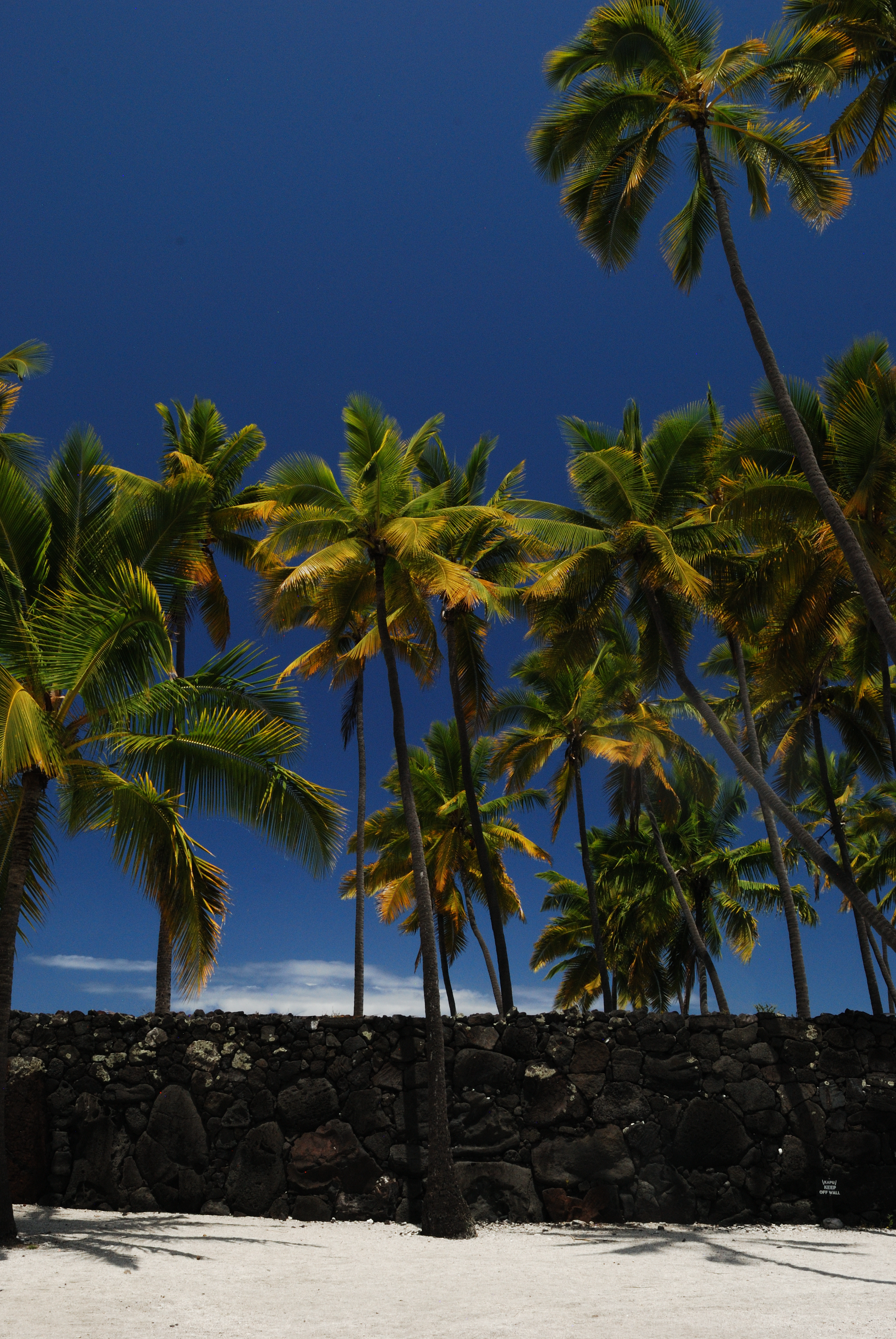 Hawai'i, Hawaii 2024