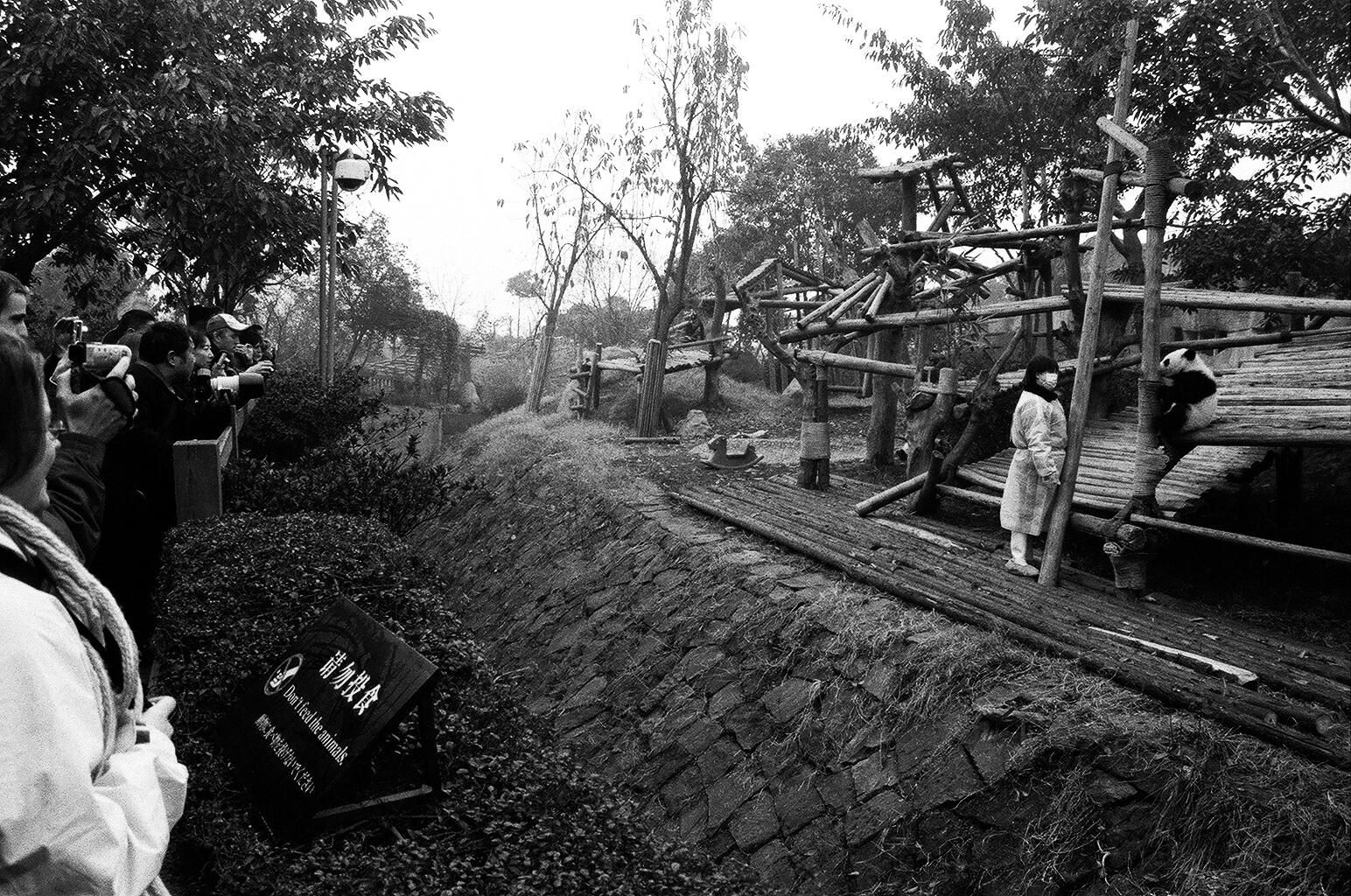 Chengdu, Sichuan Province, China 2007