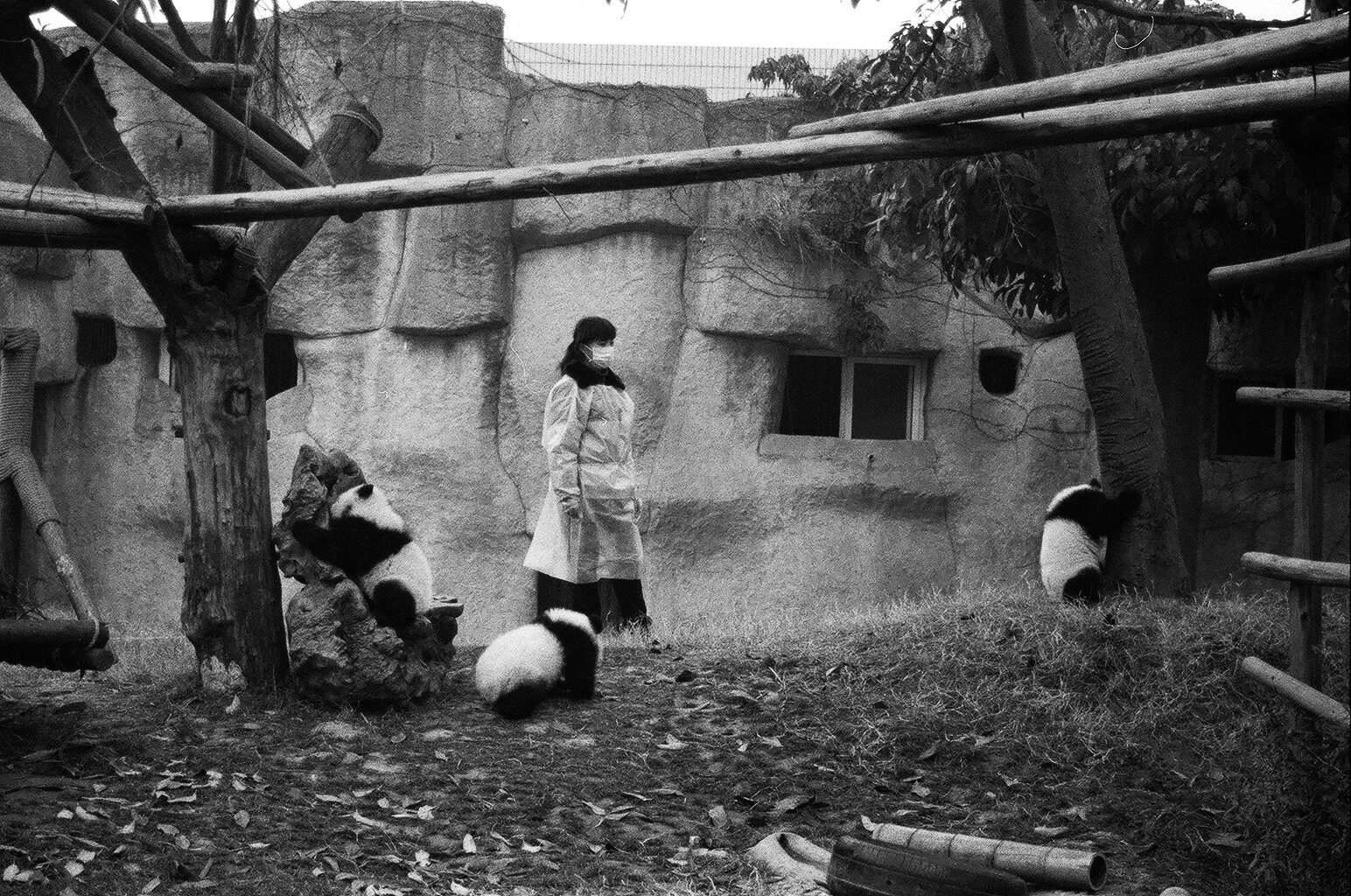 Chengdu, Sichuan Province, China 2007