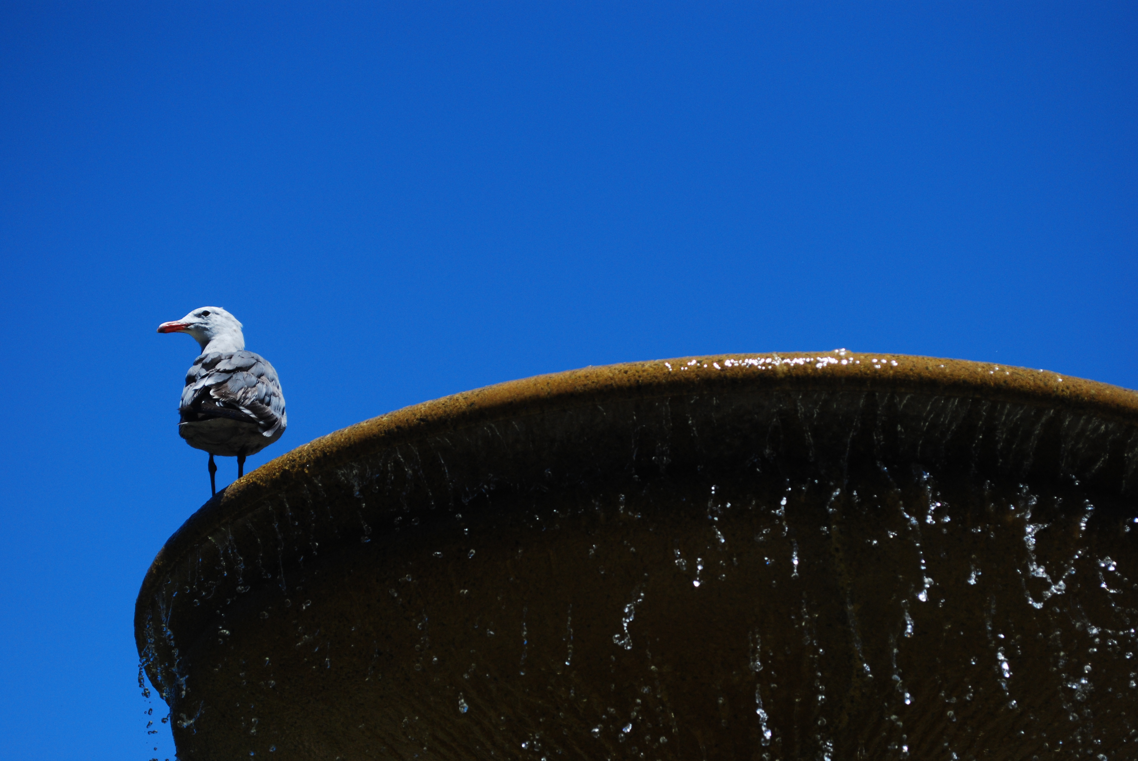 Bay Area, California 2009