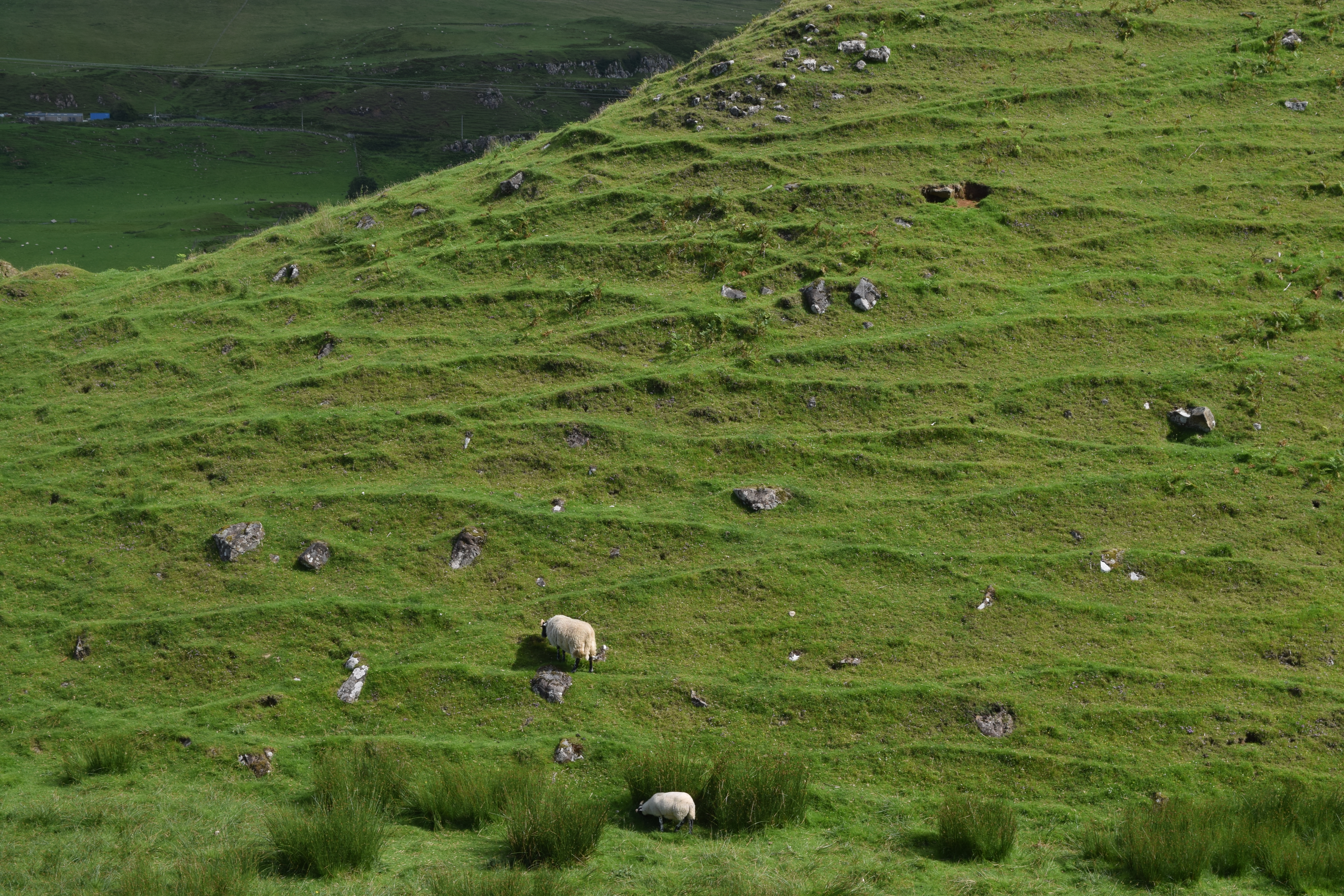 Fairy Glen, Uig, Isle of Skye, Scotland 2025