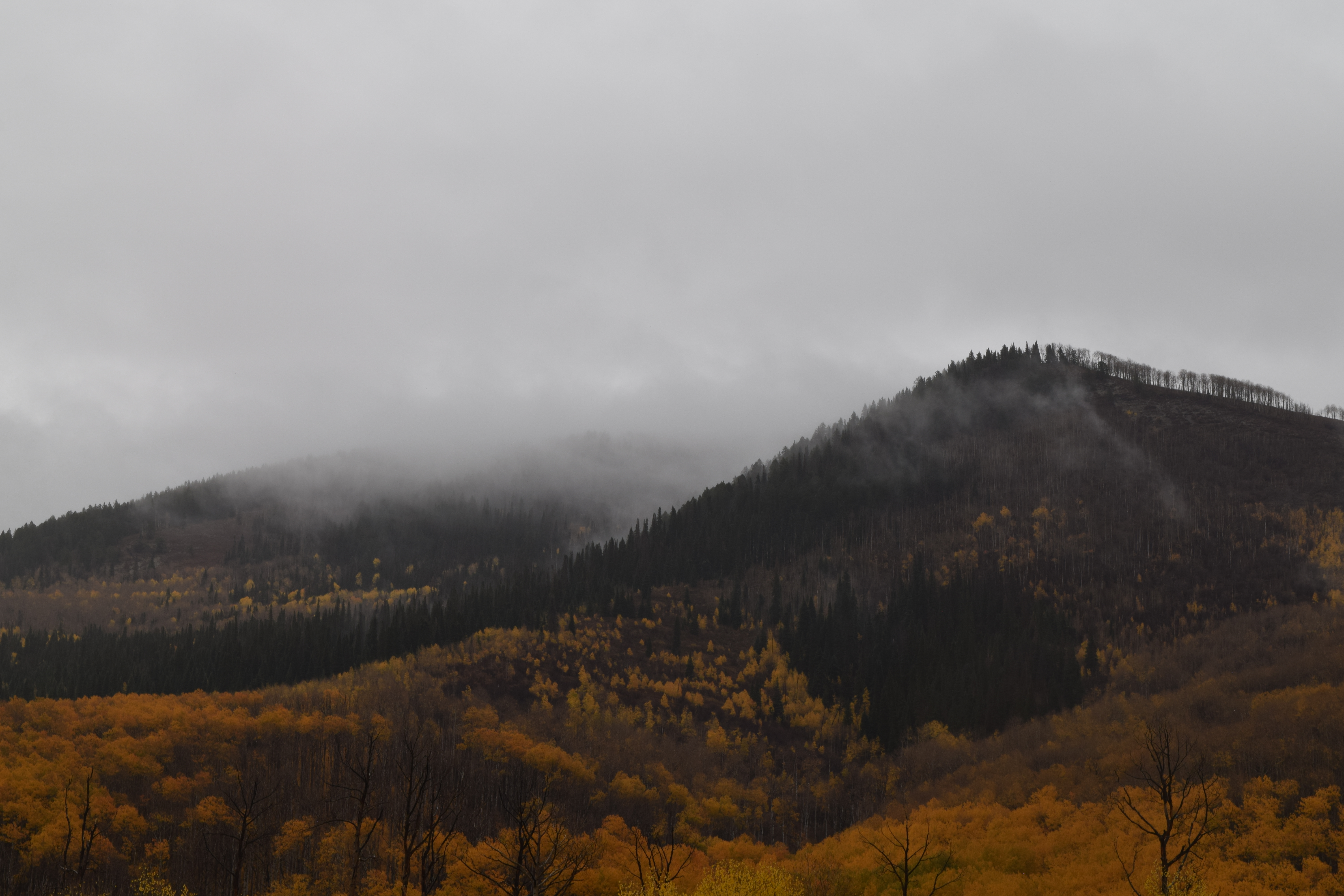 Elk Mountain, Mesa County, Colorado 2025