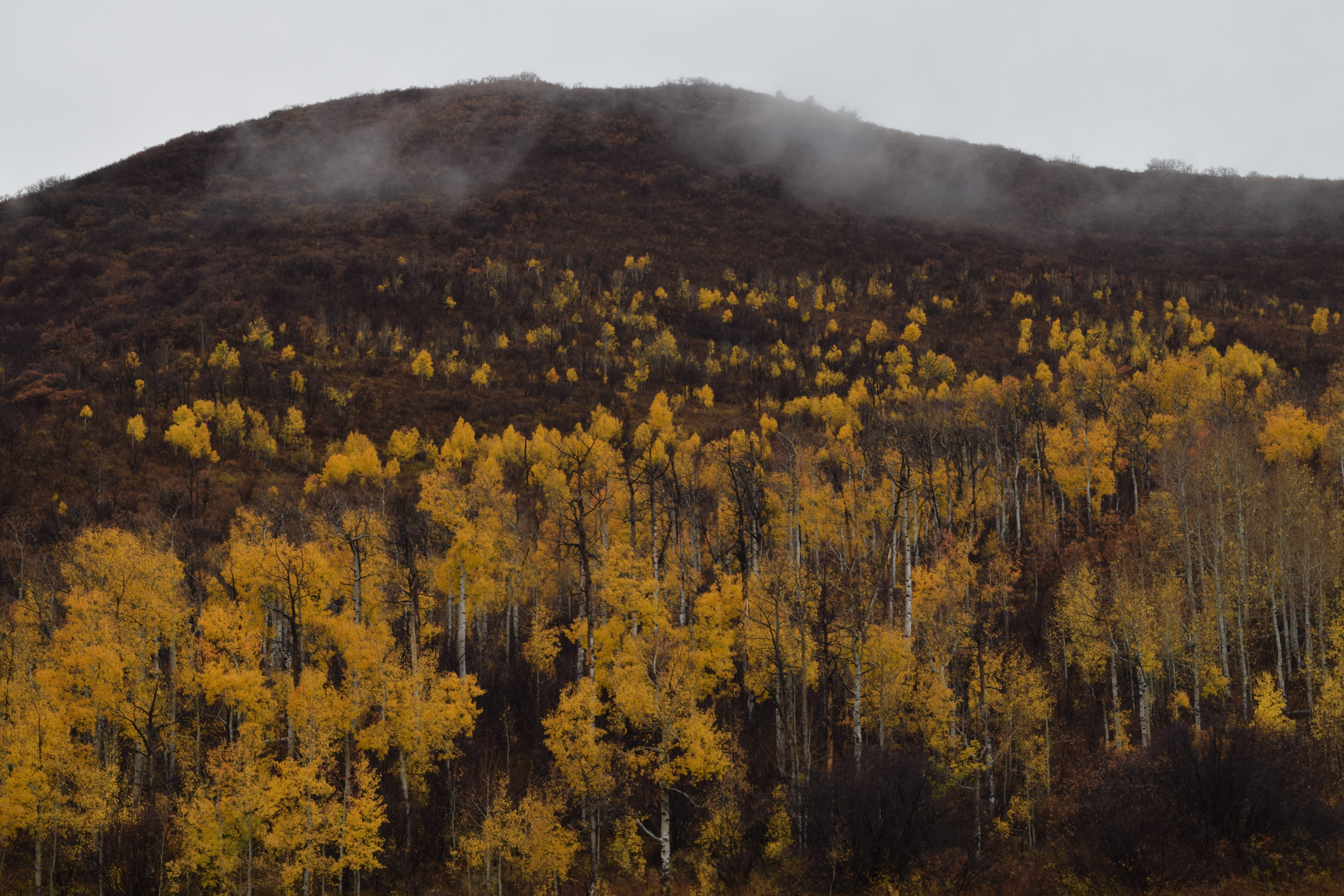 Elk Mountain, Mesa County, Colorado 2025