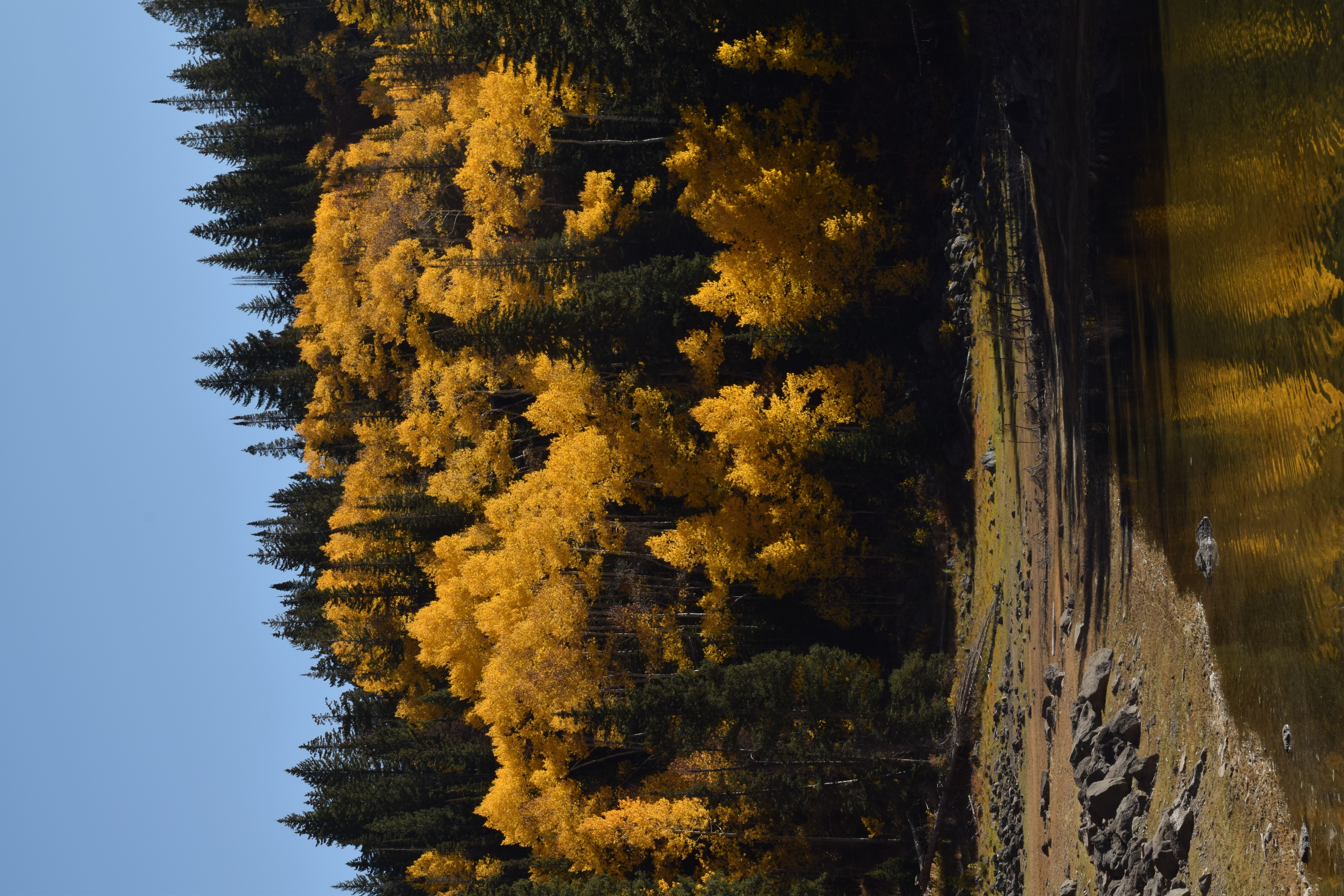 Grand Mesa, Colorado 2024