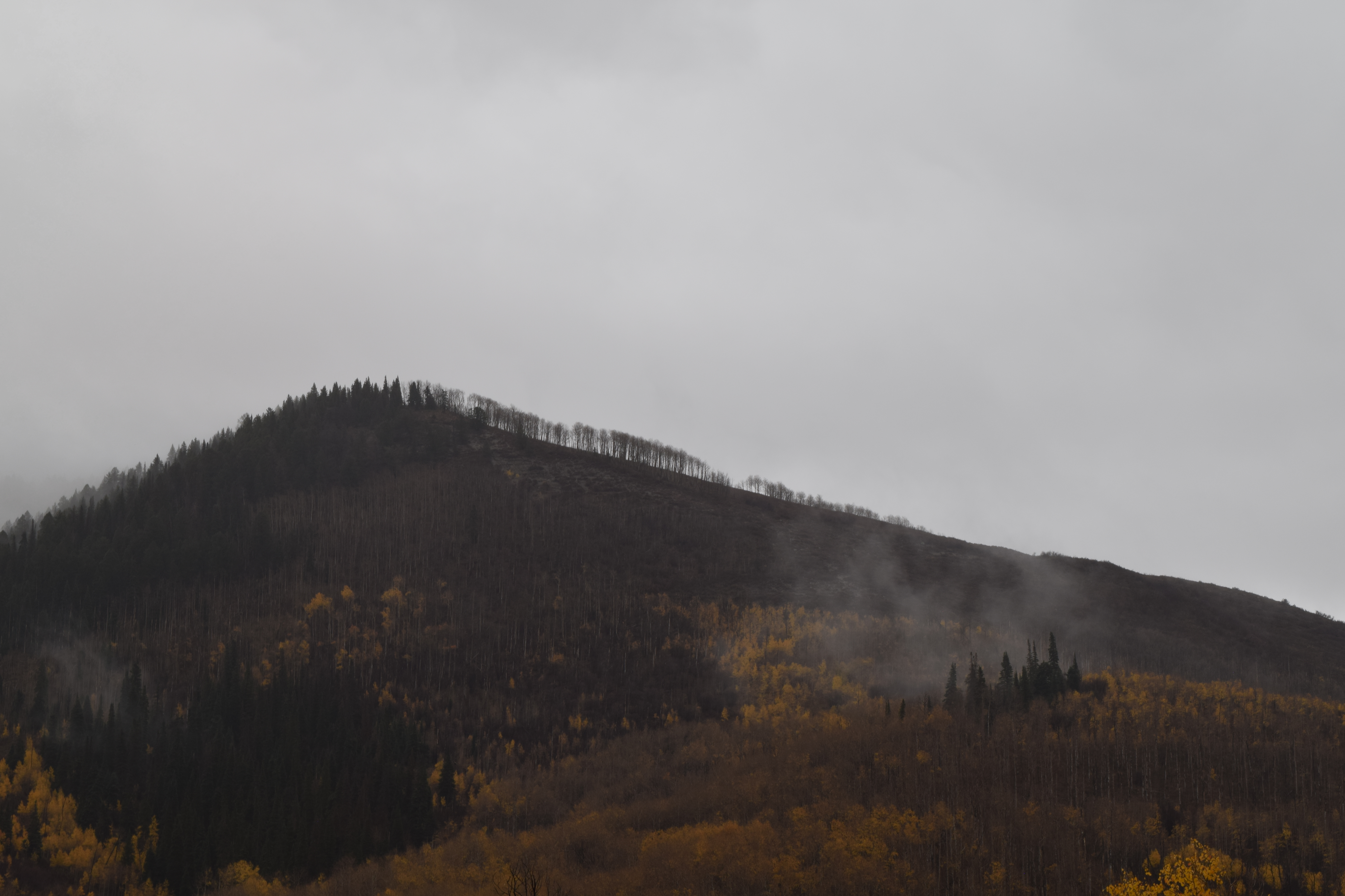 Elk Mountain, Mesa County, Colorado 2025