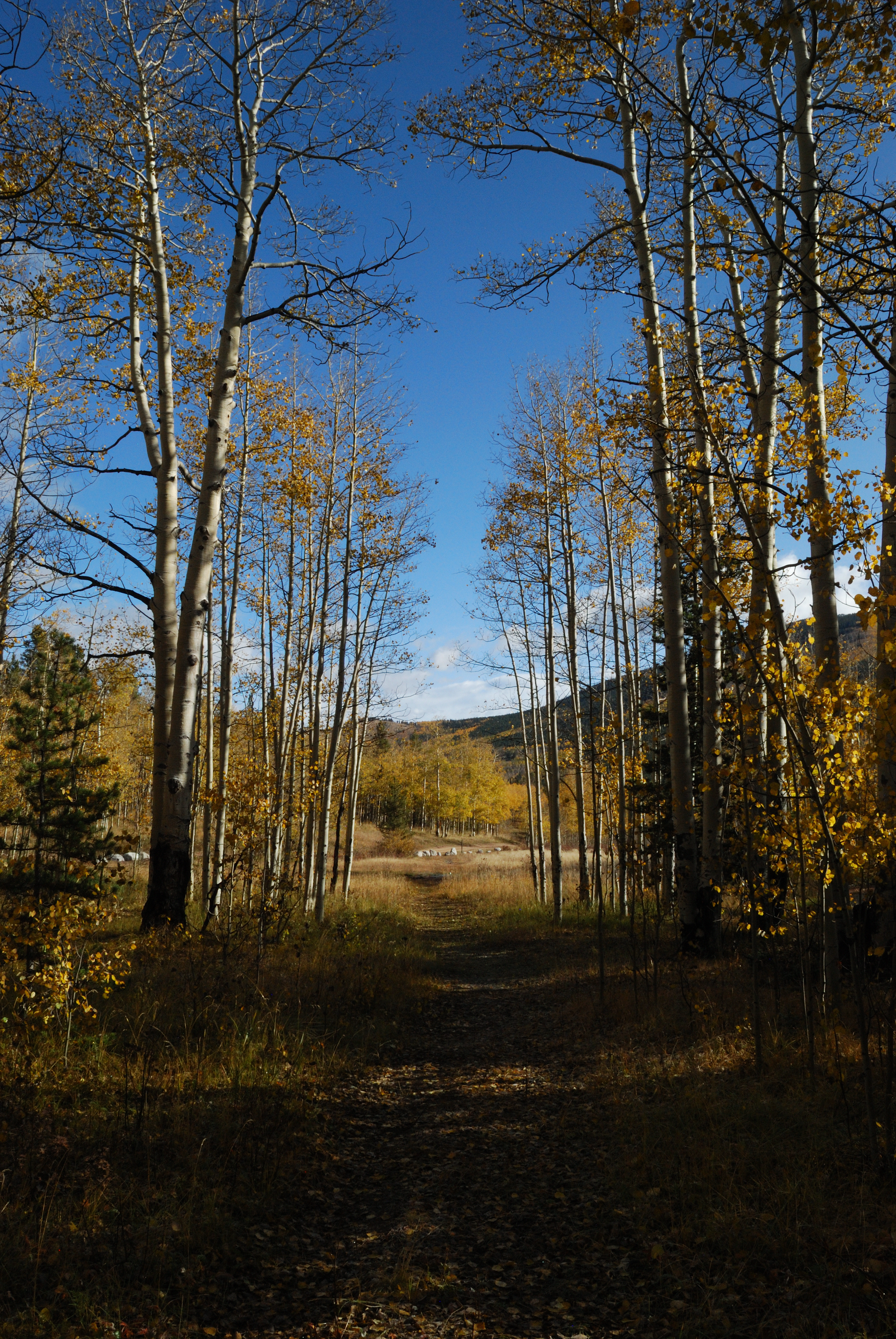 Kenosha Pass, Rocky Mountains, Coloado 2023
