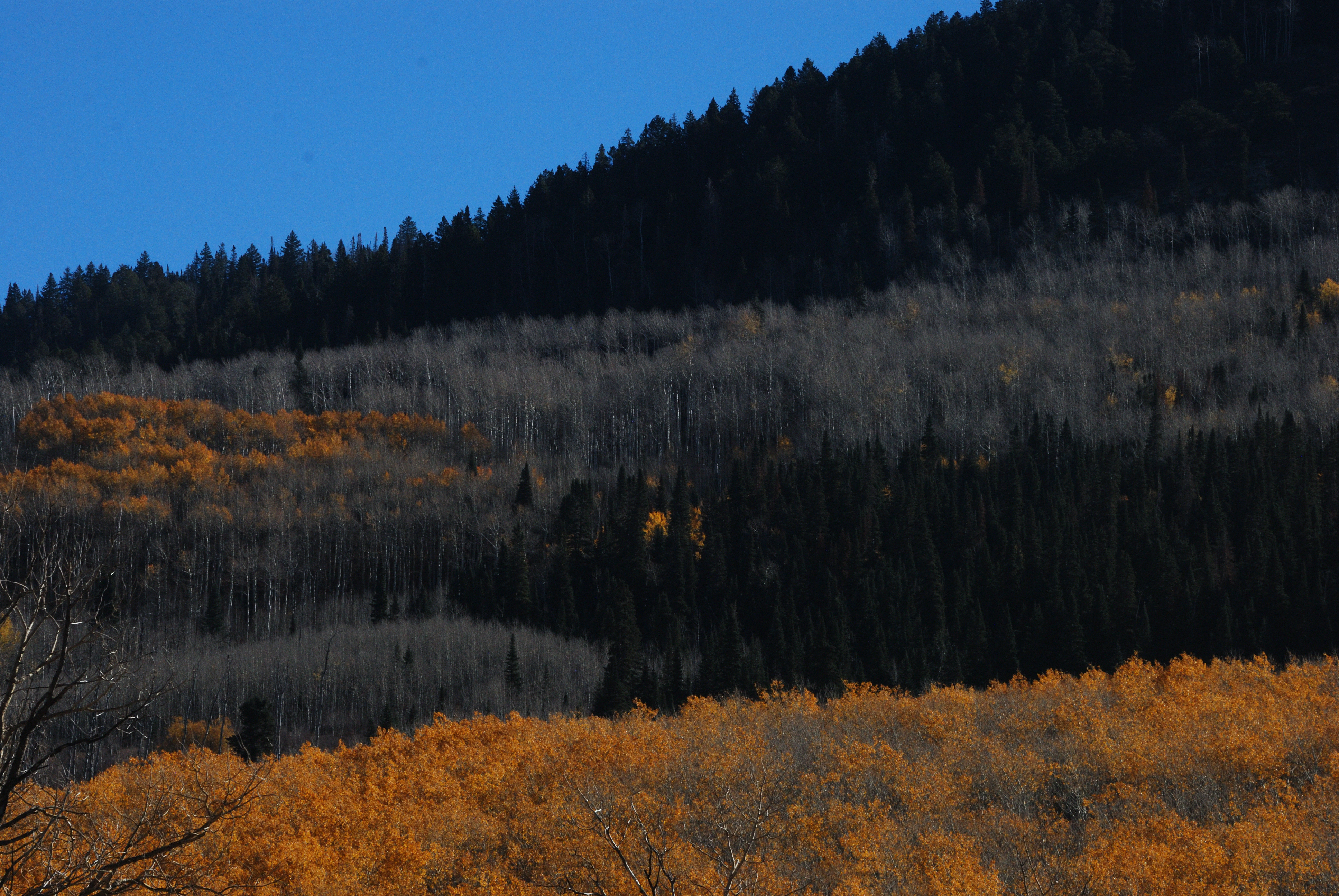 Elk Mountain, Mesa County, Colorado 2023