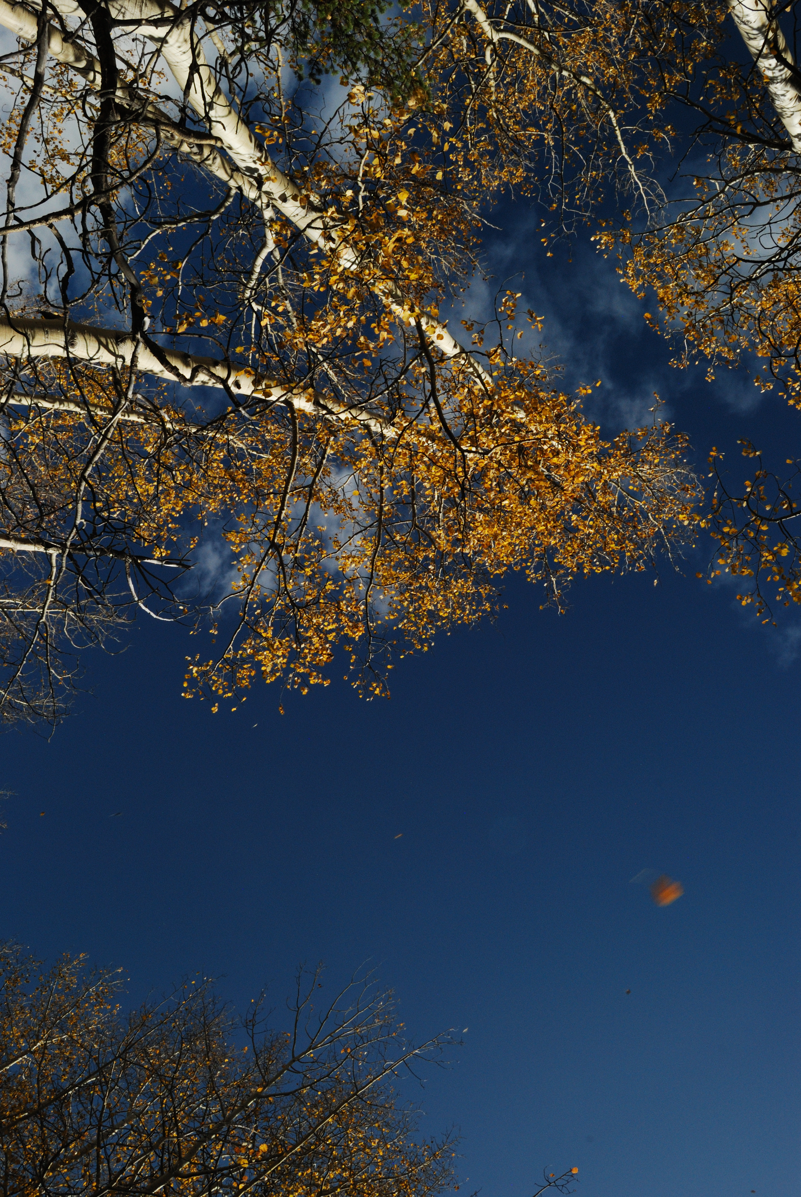 Kenosha Pass, Rocky Mountains, Coloado 2023
