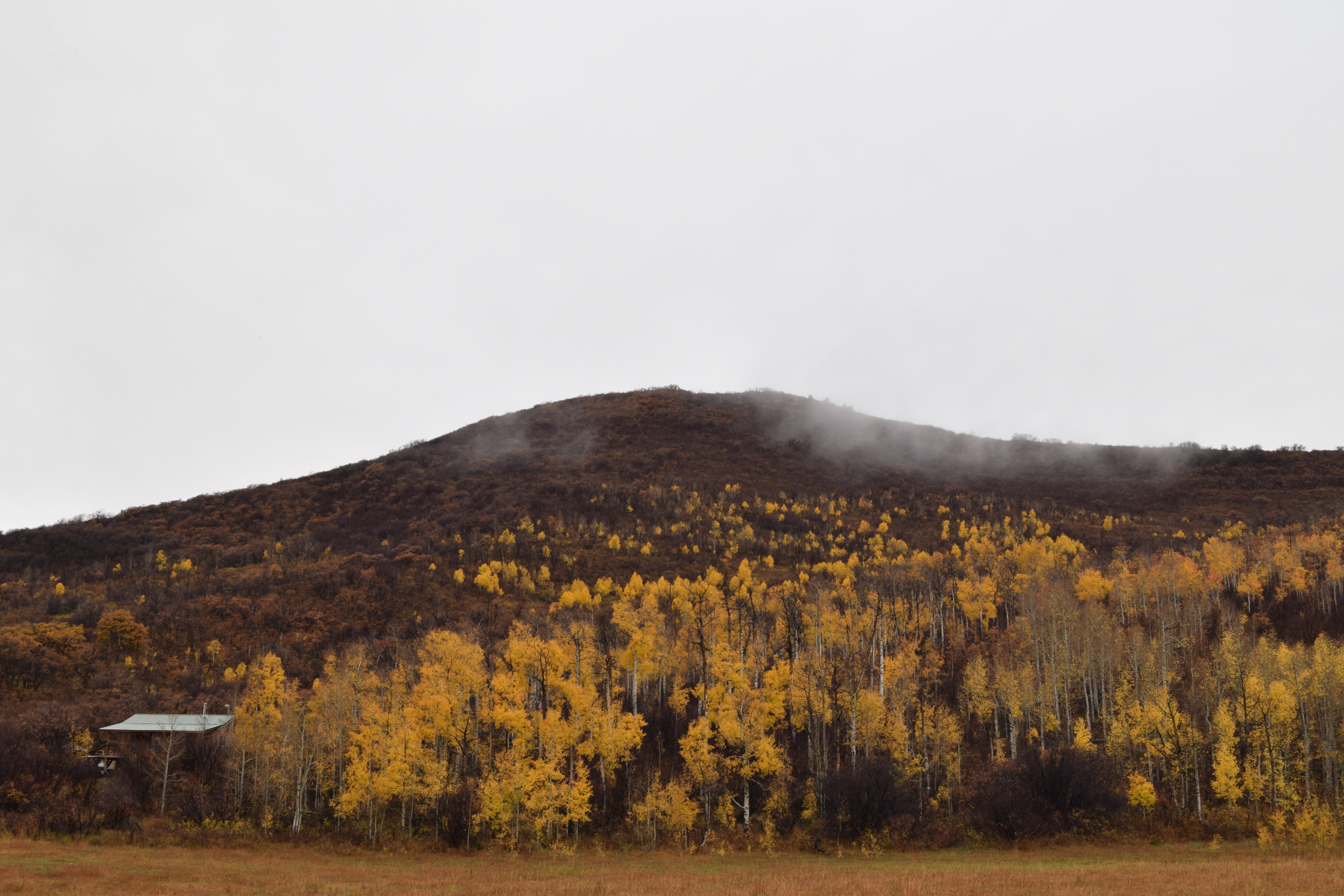Elk Mountain, Mesa County, Colorado 2025