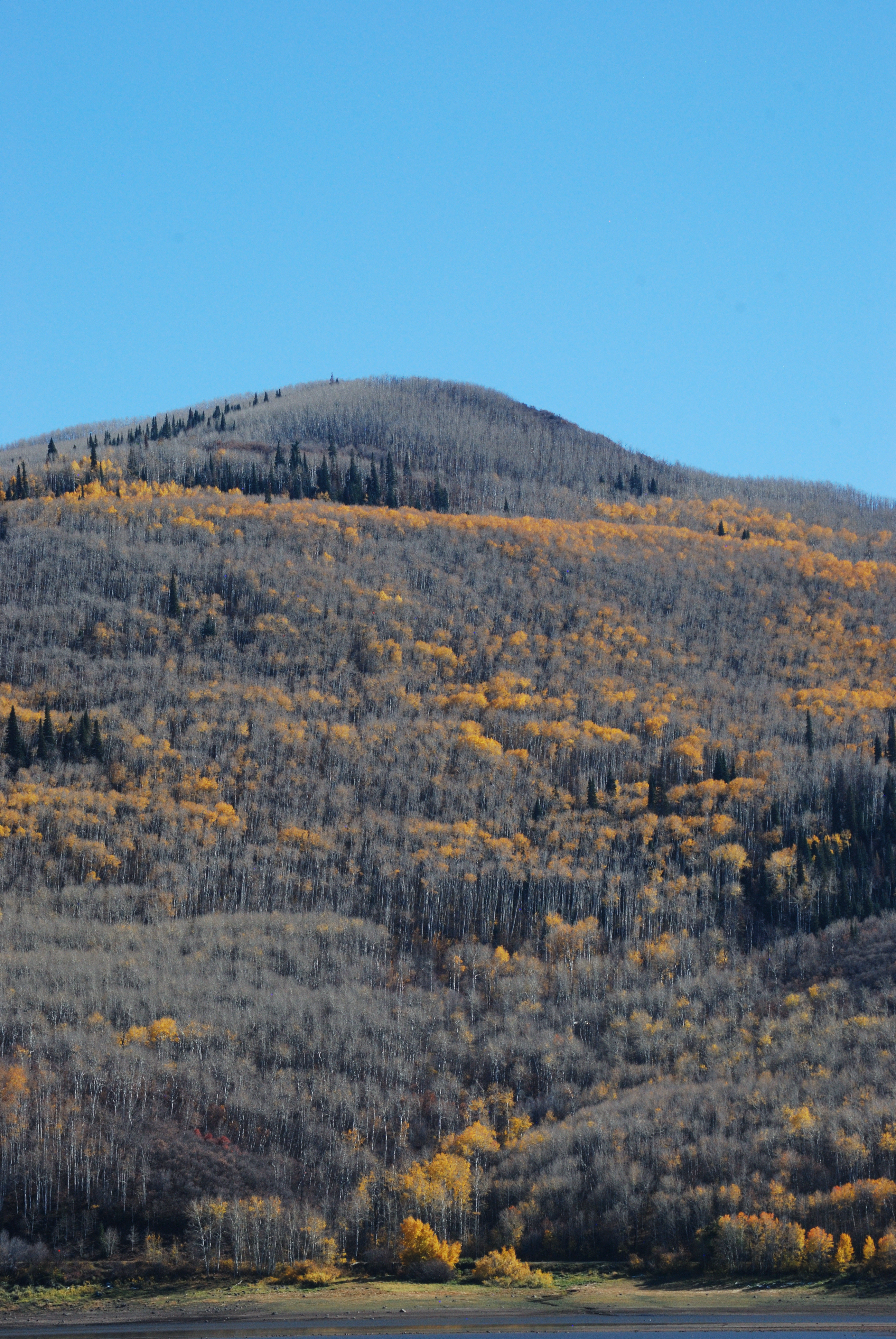 Vega State Park, Collbran, Colorado 2023