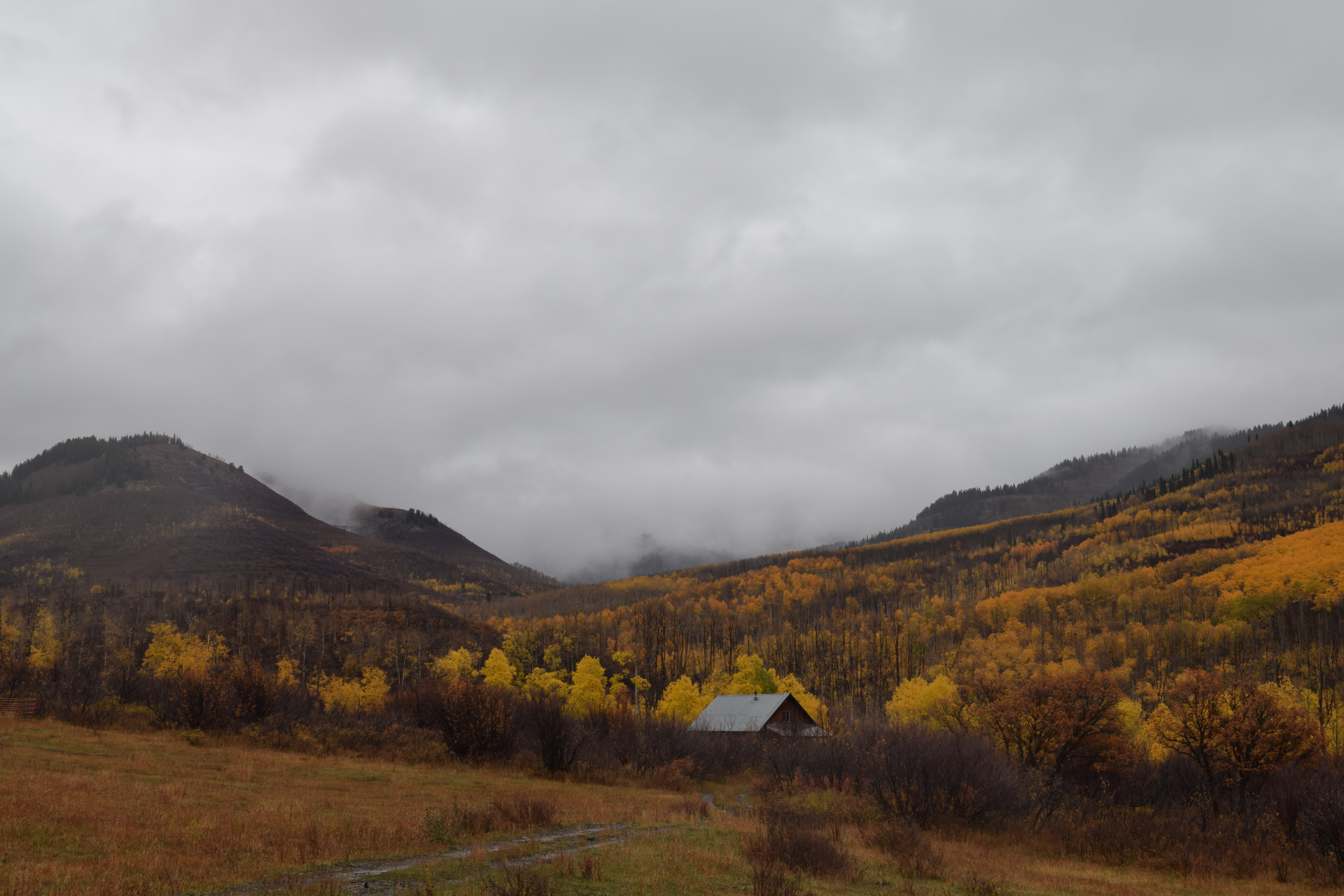 Elk Mountain, Mesa County, Colorado 2025