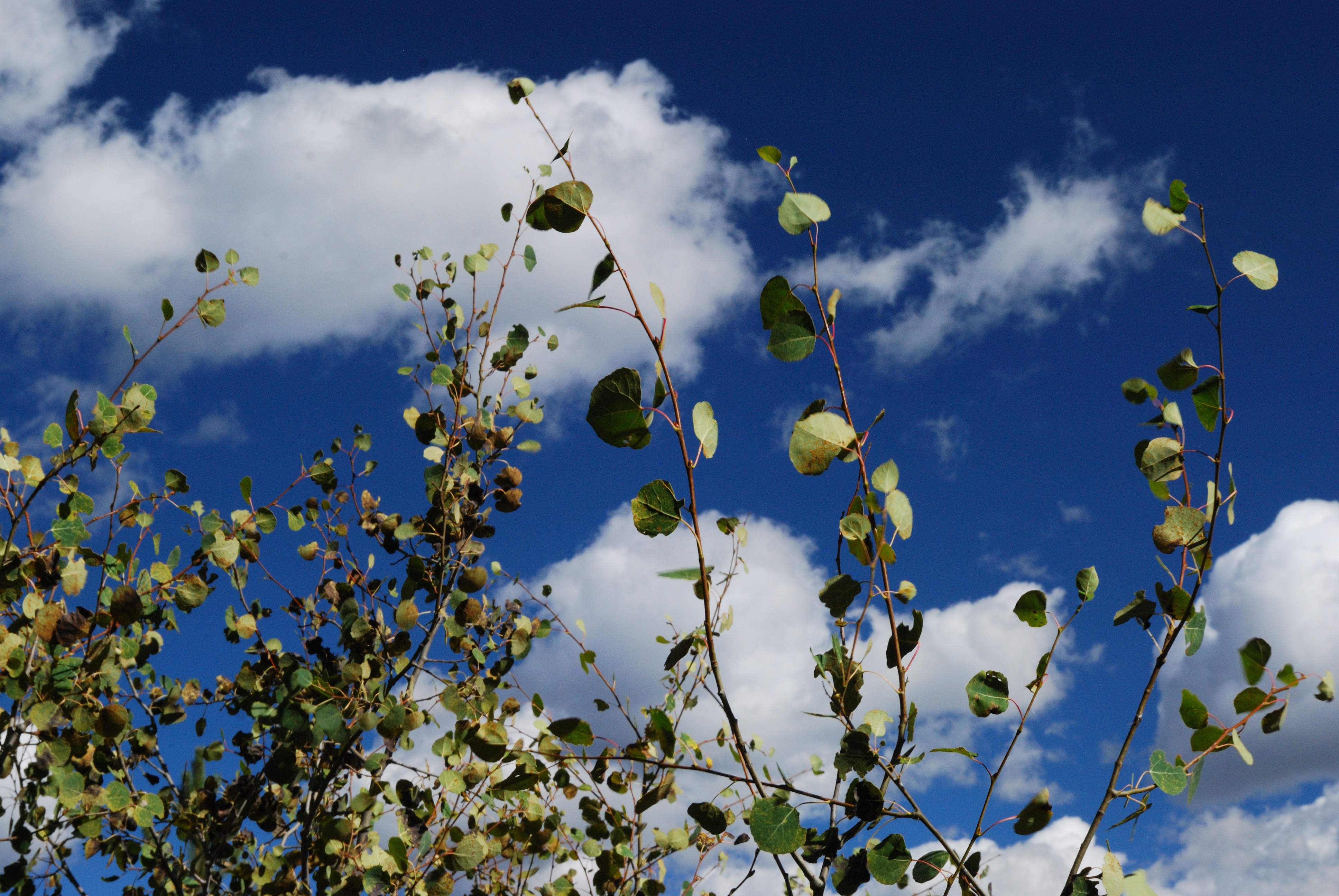 Kenosha Pass, Rocky Mountains, Coloado 2023