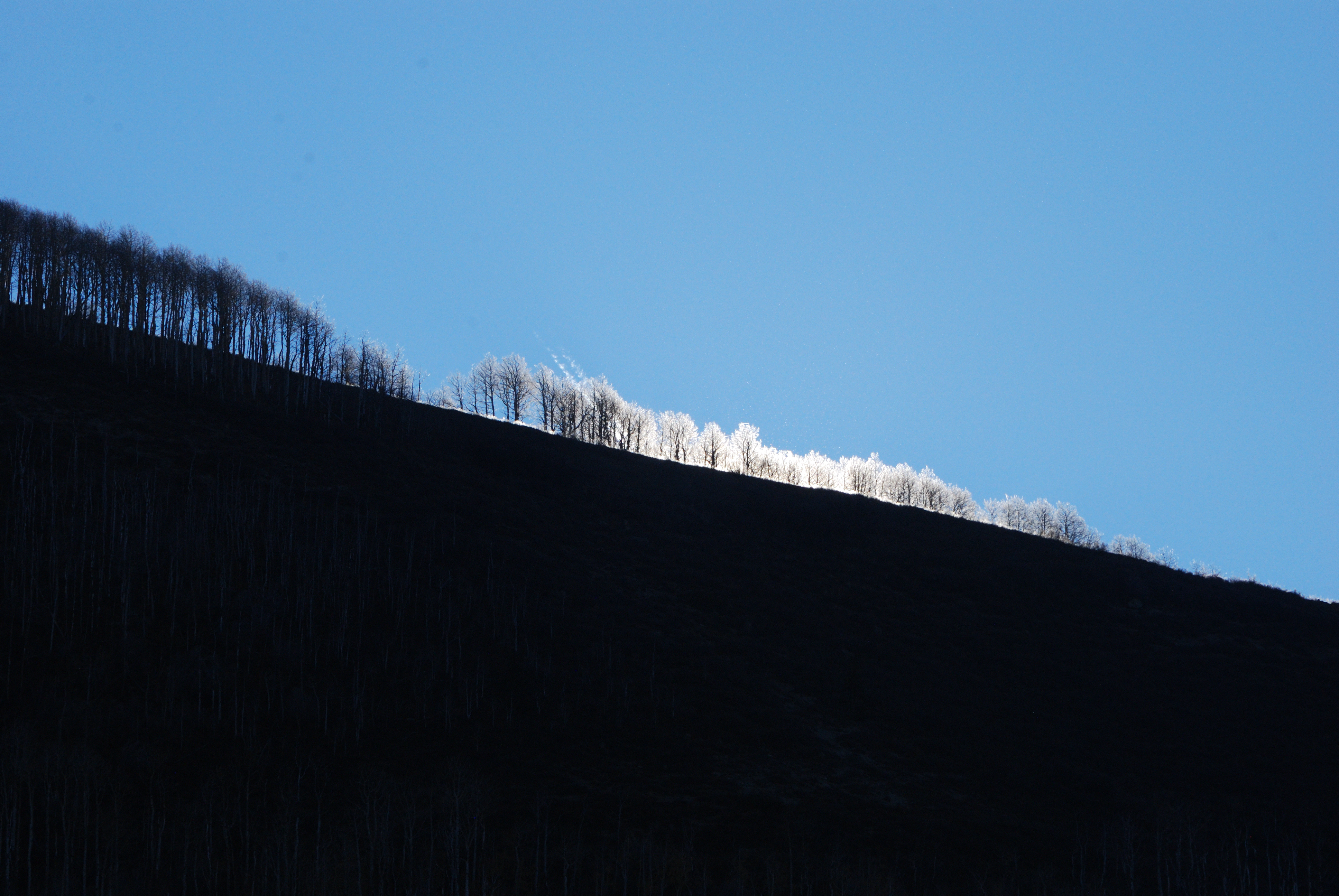 Elk Mountain, Mesa County, Colorado 2023