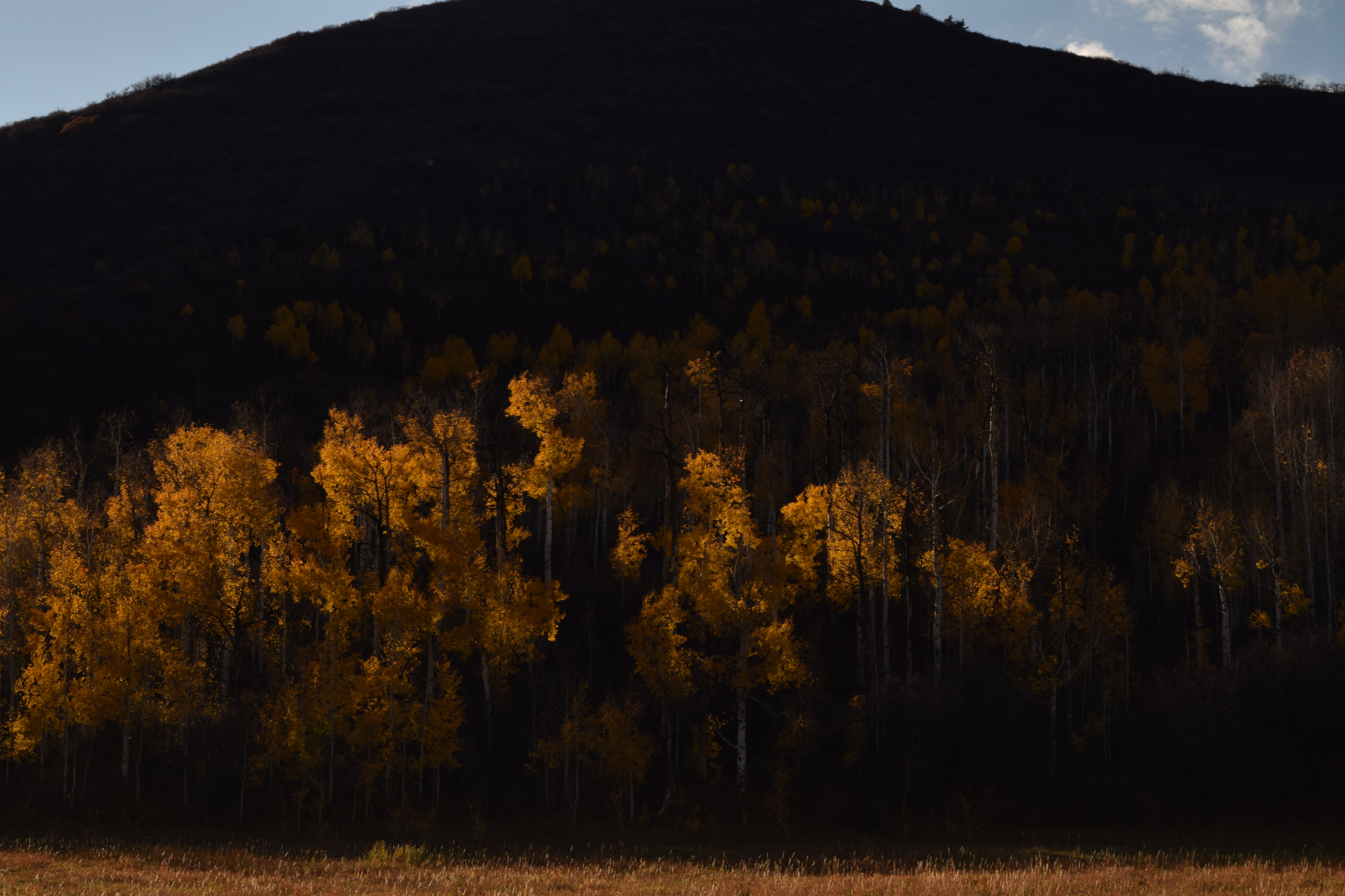 Elk Mountain, Mesa County, Colorado 2025