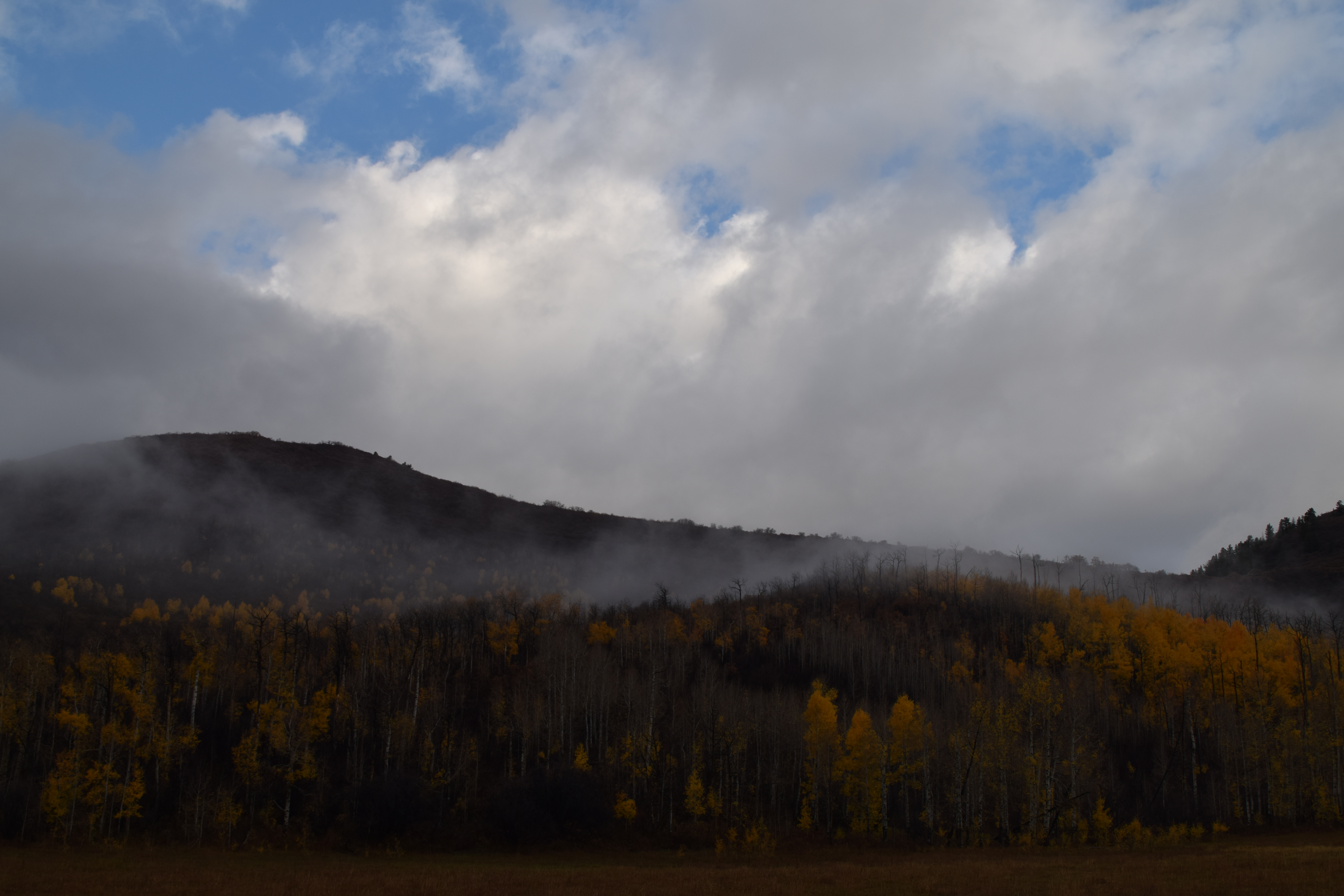 Elk Mountain, Mesa County, Colorado 2025