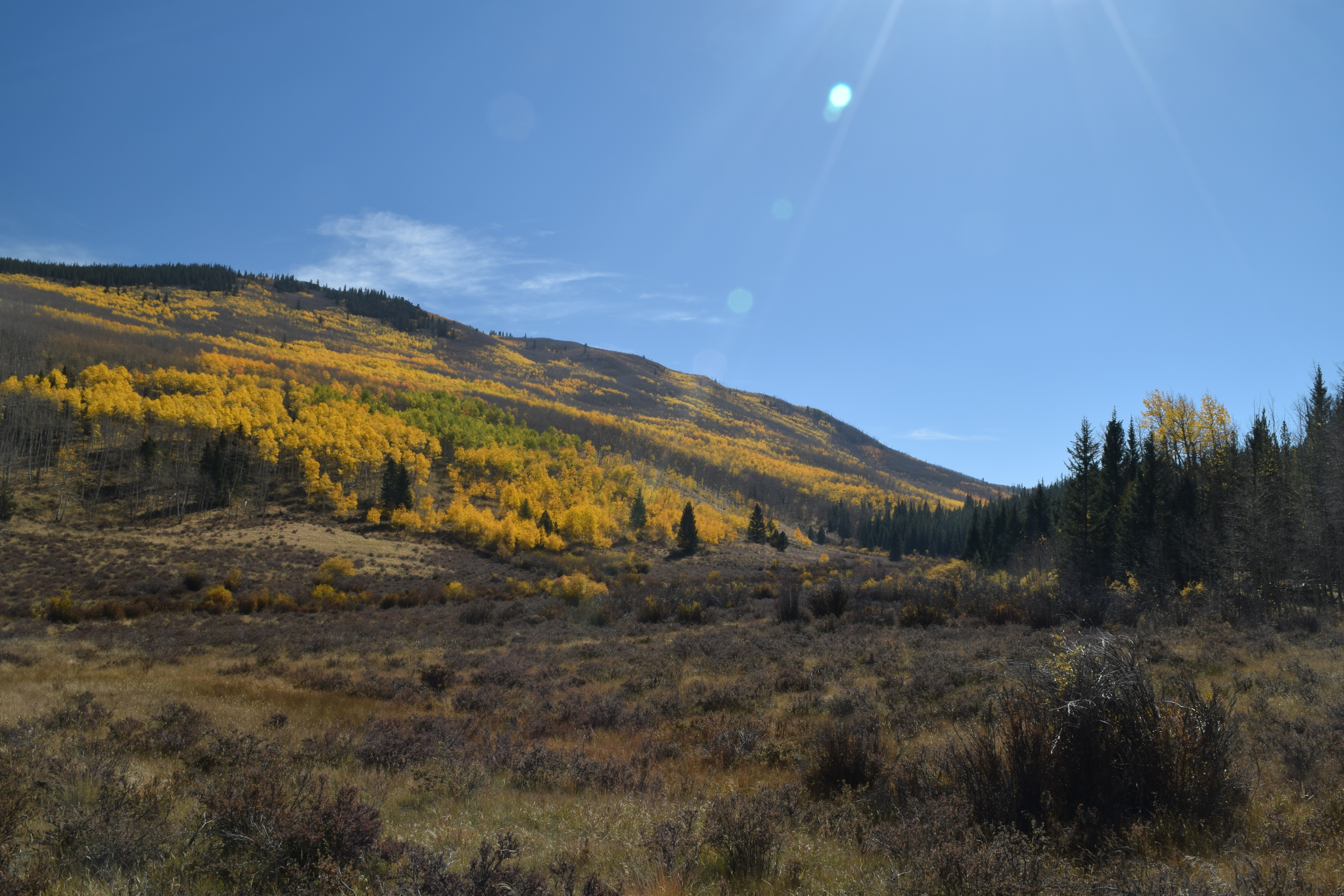Kenosha Pass, Rocky Mountains, Coloado 2024