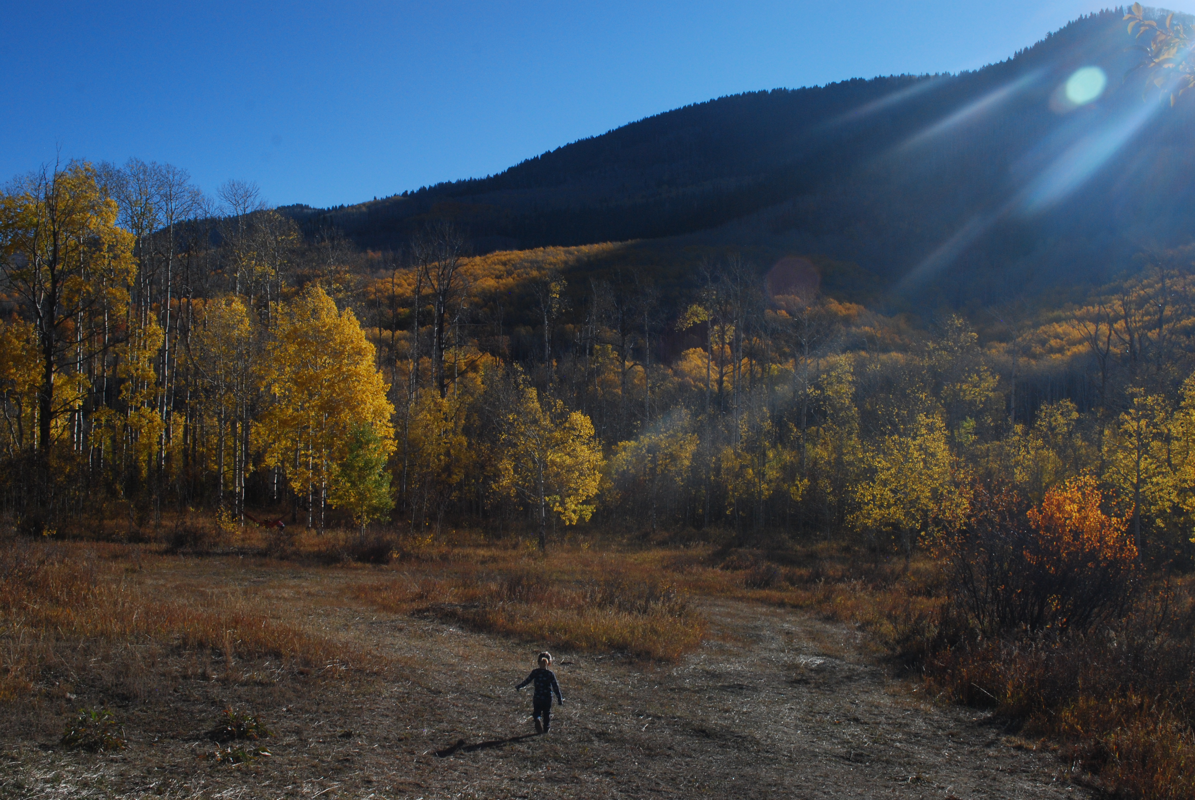 Elk Mountain, Mesa County, Colorado 2020