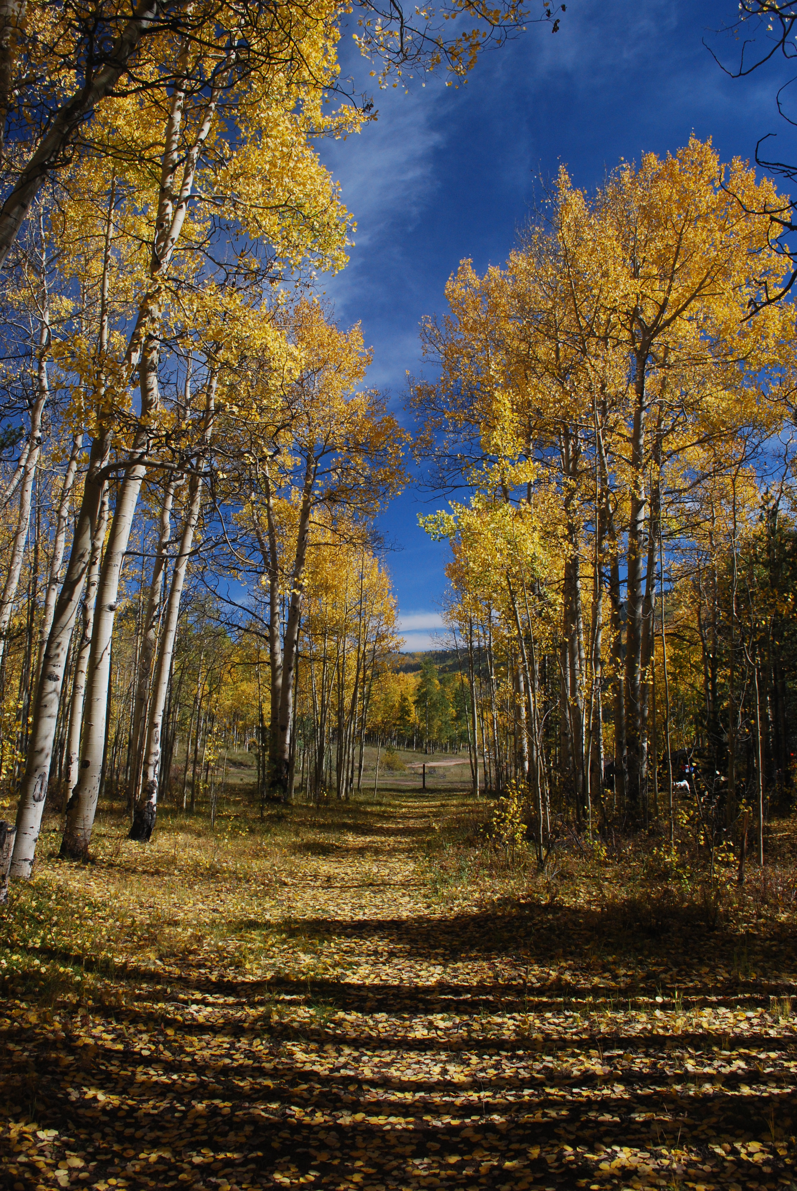 Kenosha Pass, Rocky Mountains, Coloado 2012