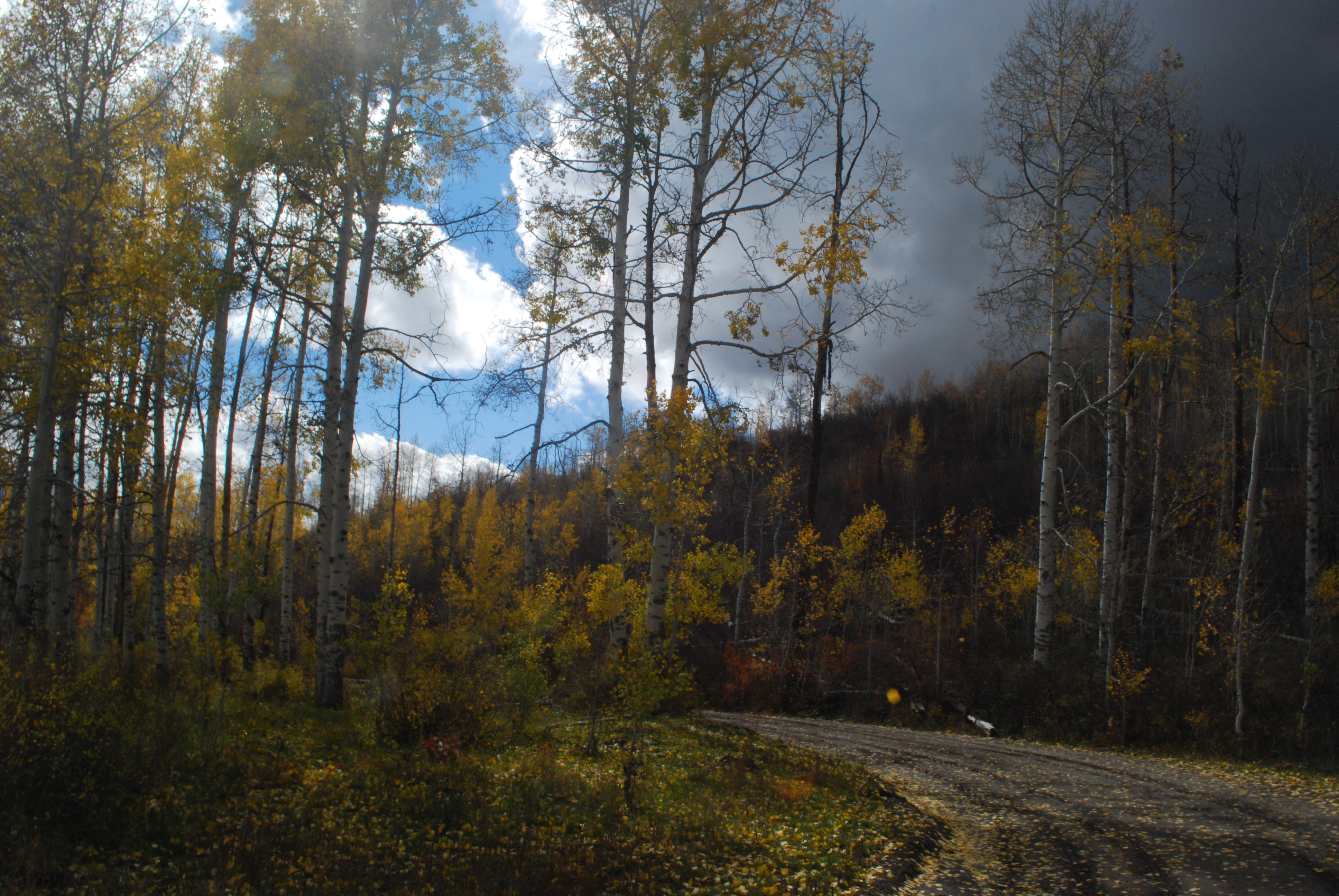 Elk Mountain, Mesa County, Colorado 2021