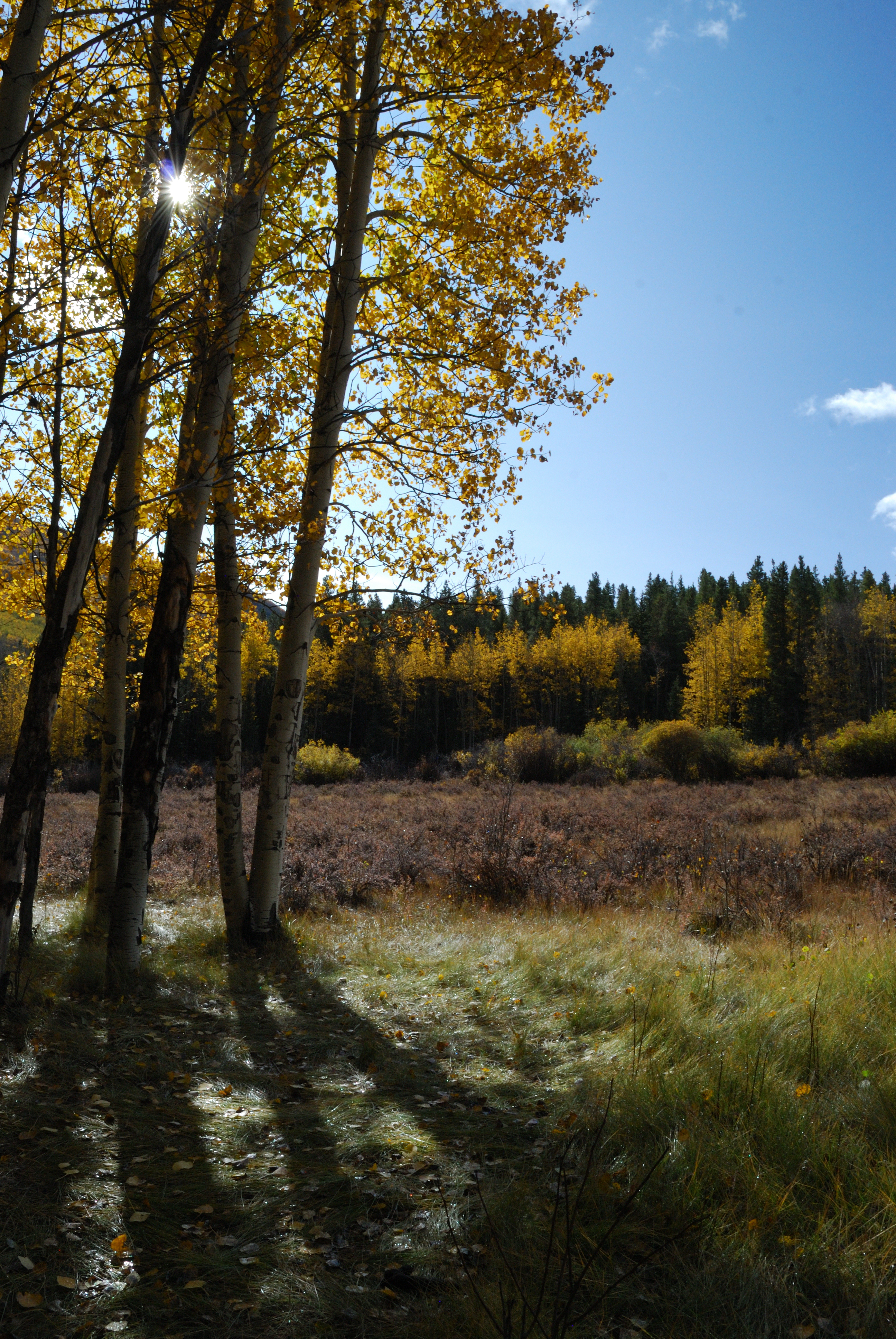 Kenosha Pass, Rocky Mountains, Coloado 2023