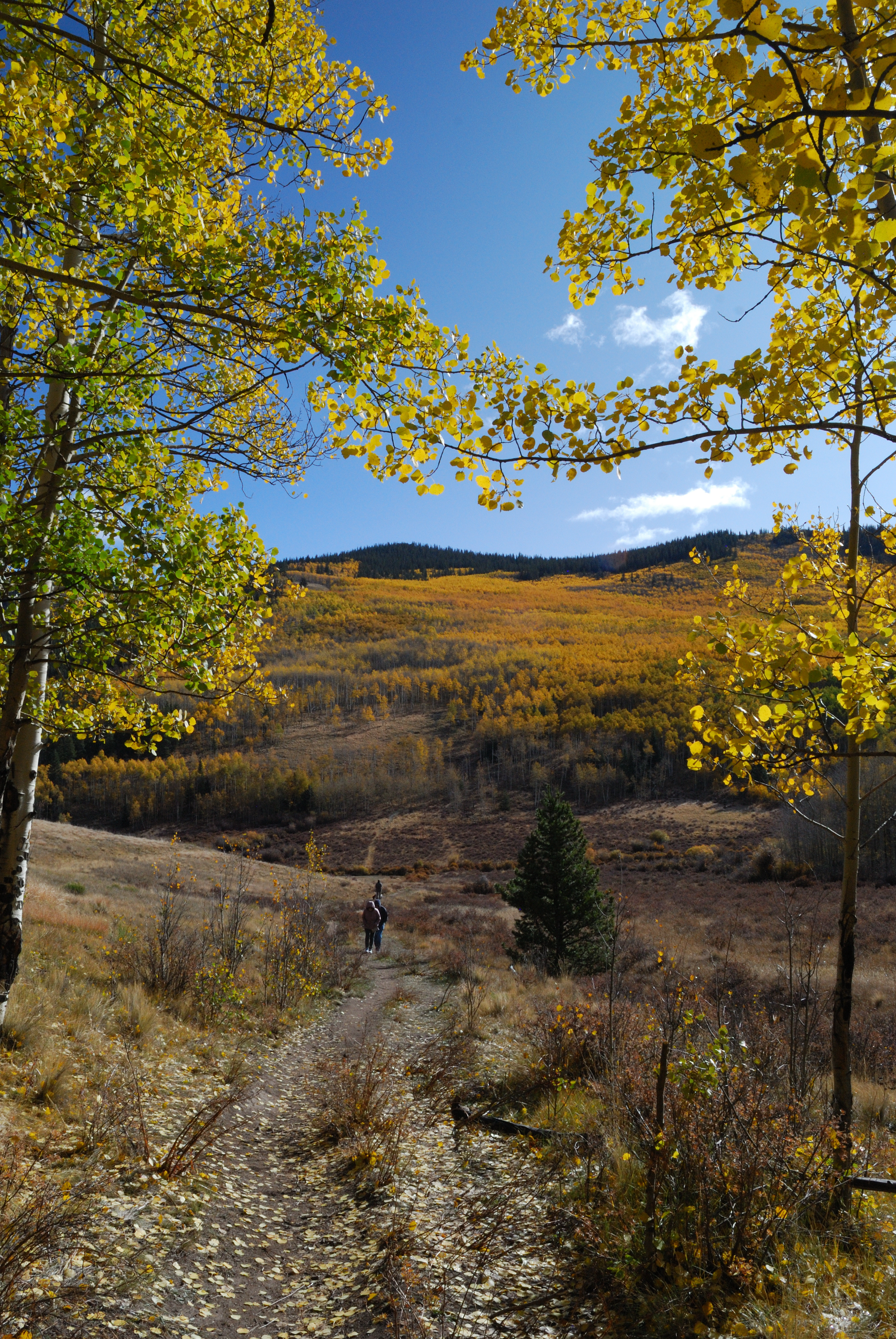 Kenosha Pass, Rocky Mountains, Coloado 2023