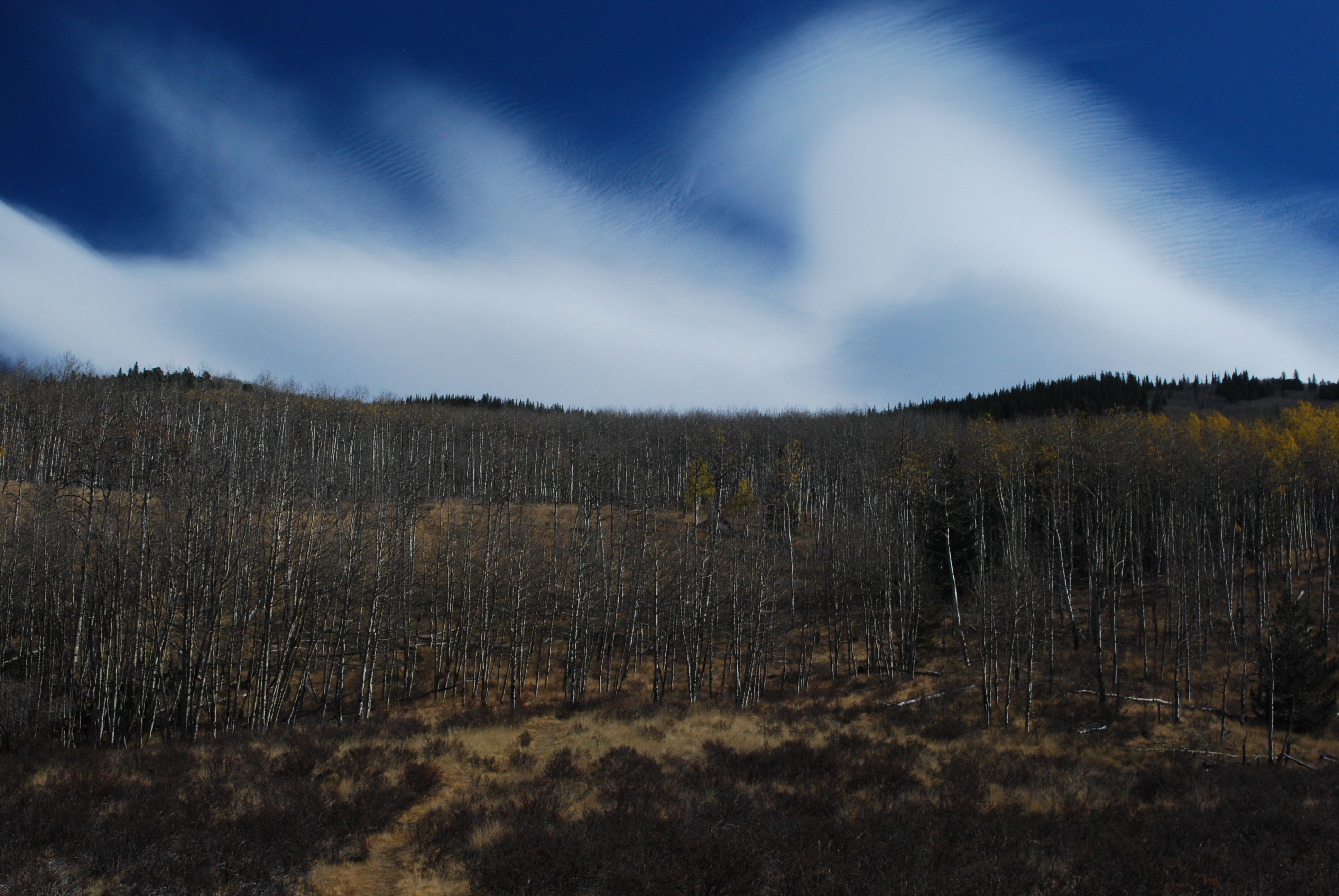 Kenosha Pass, Rocky Mountains, Coloado 2022