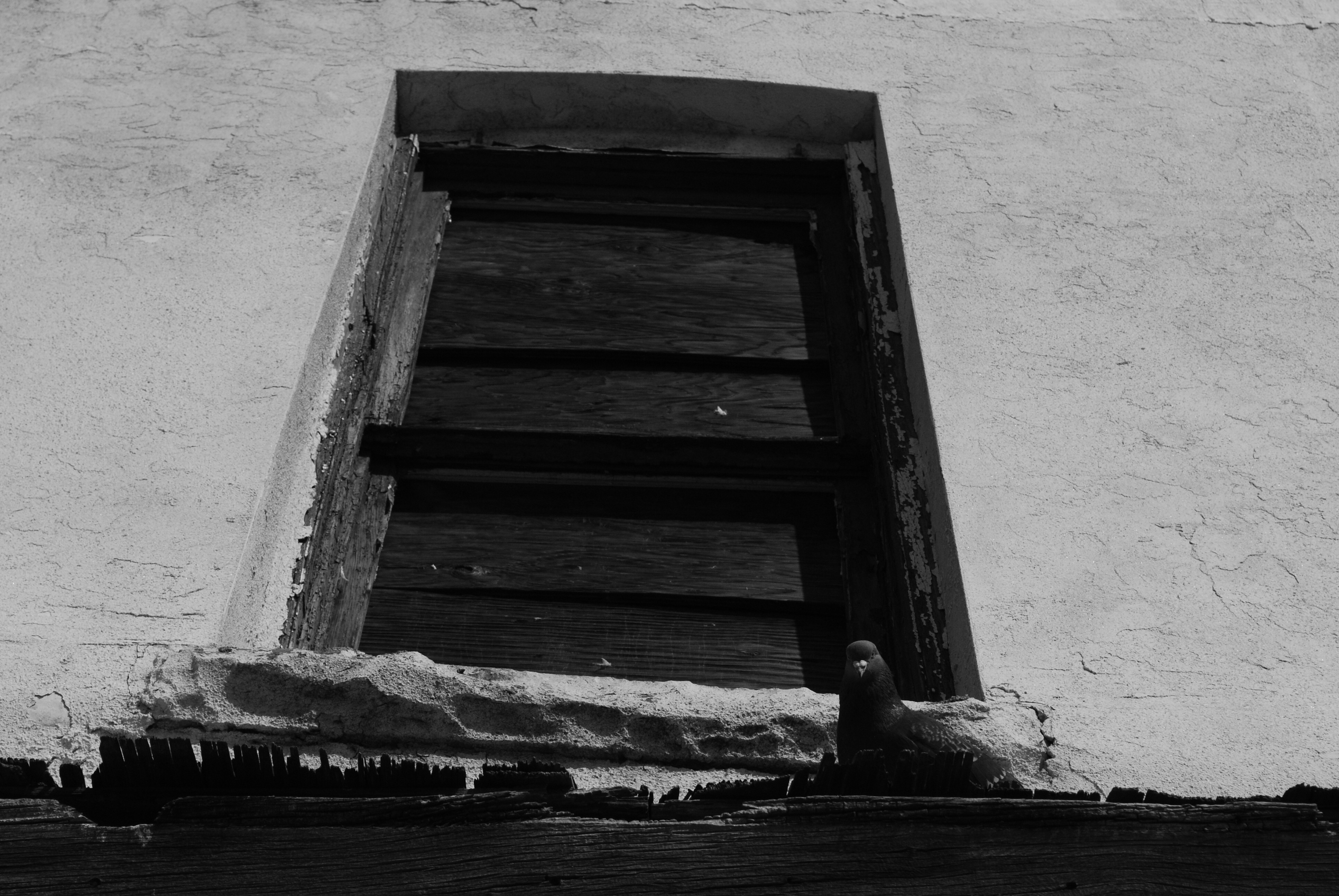 South Broadway neighborhood, Denver, Colorado 2009