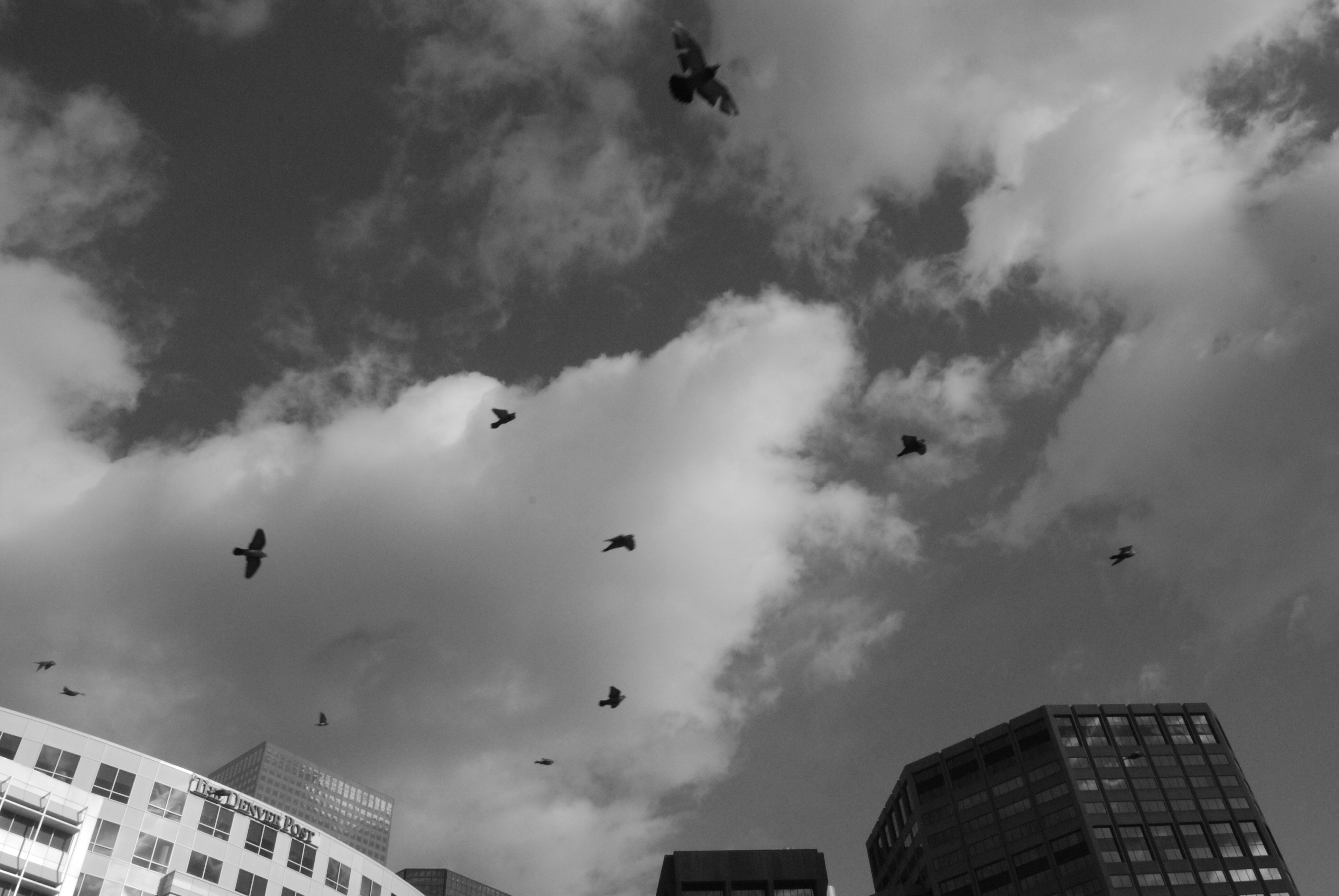 Denver, Colorado 2009