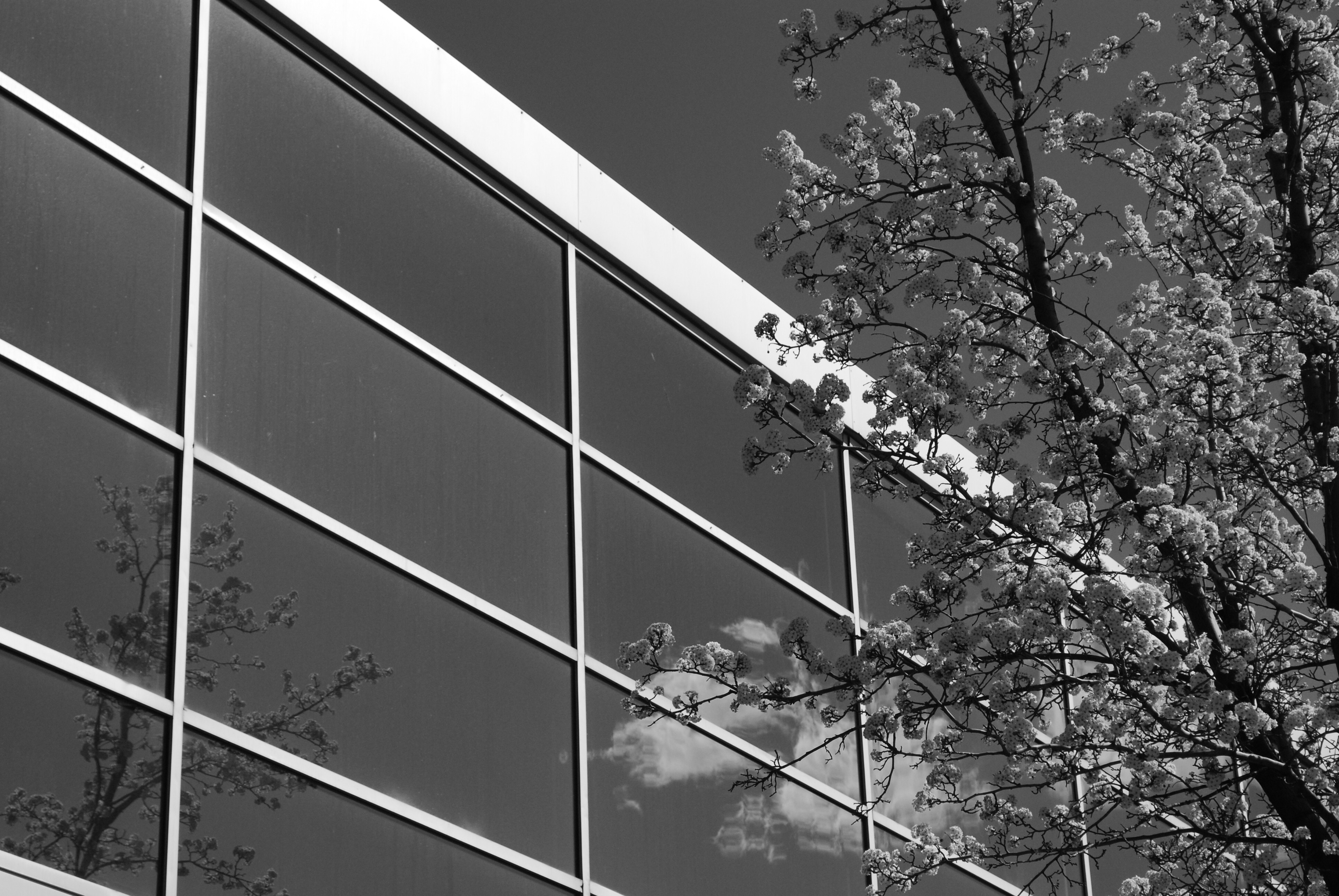 University of Denver, Denver, Colorado 2009