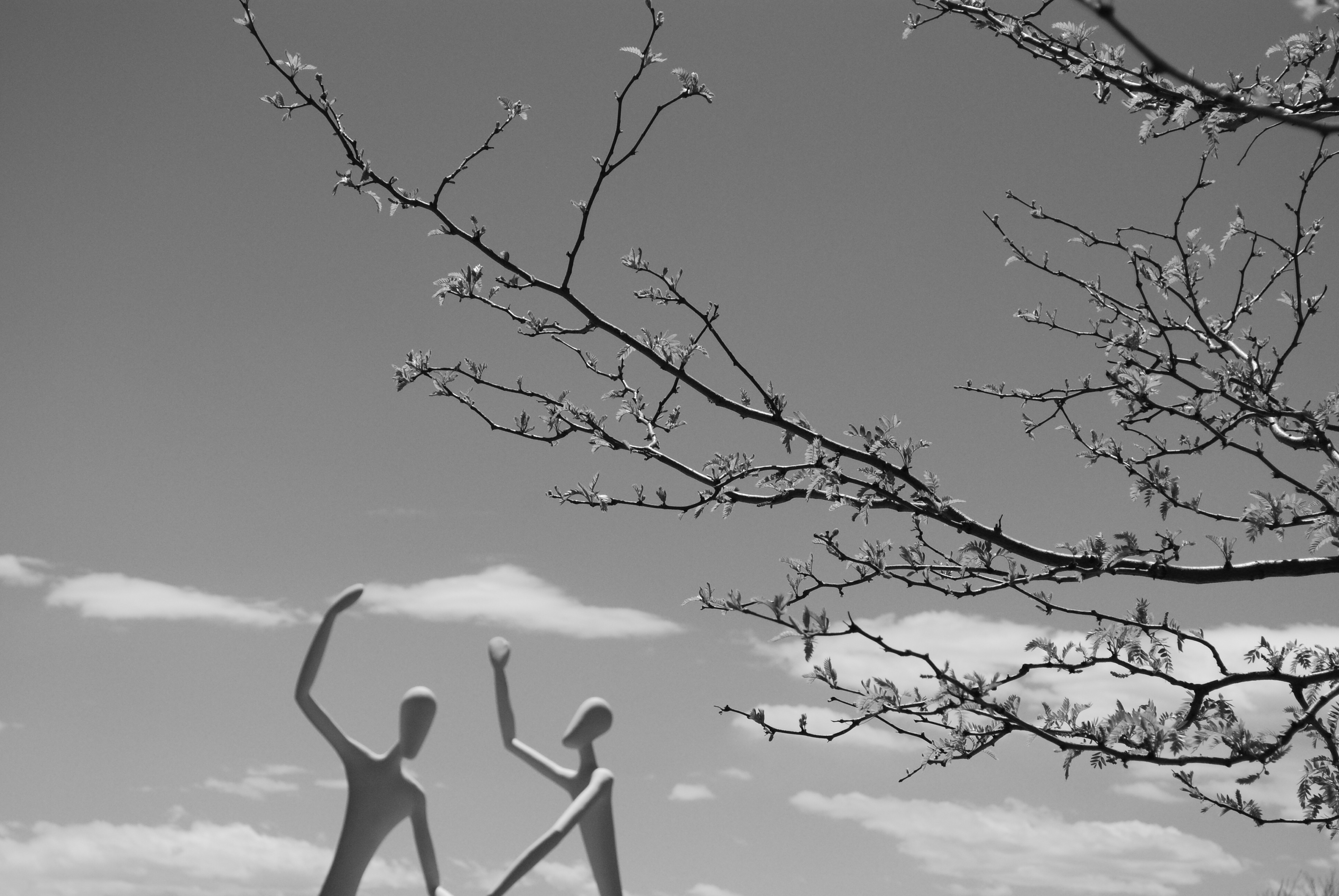 Sculpture Park, Denver Performing Arts Complex, Denver, Colorado 2009