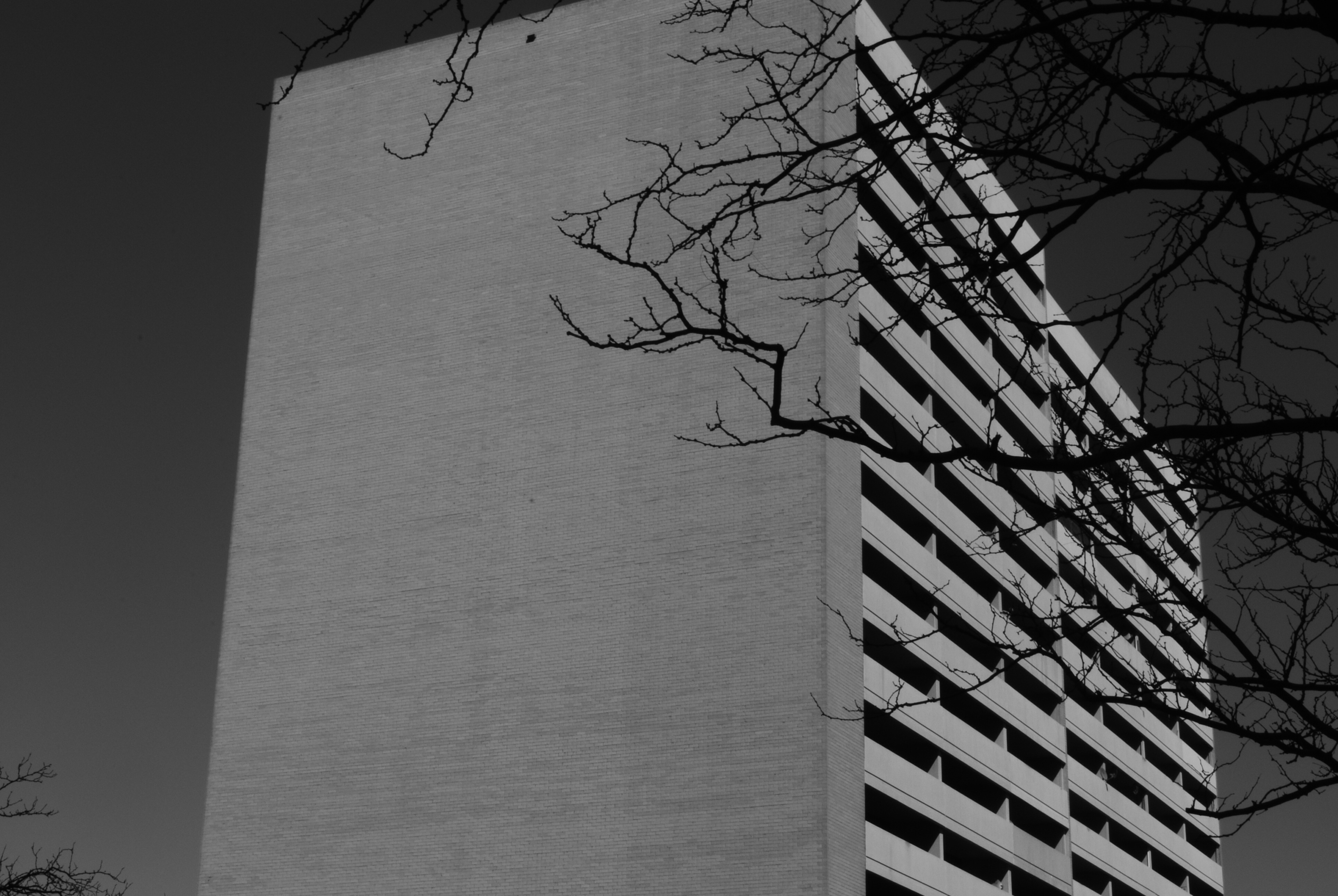 Denver, Colorado 2009