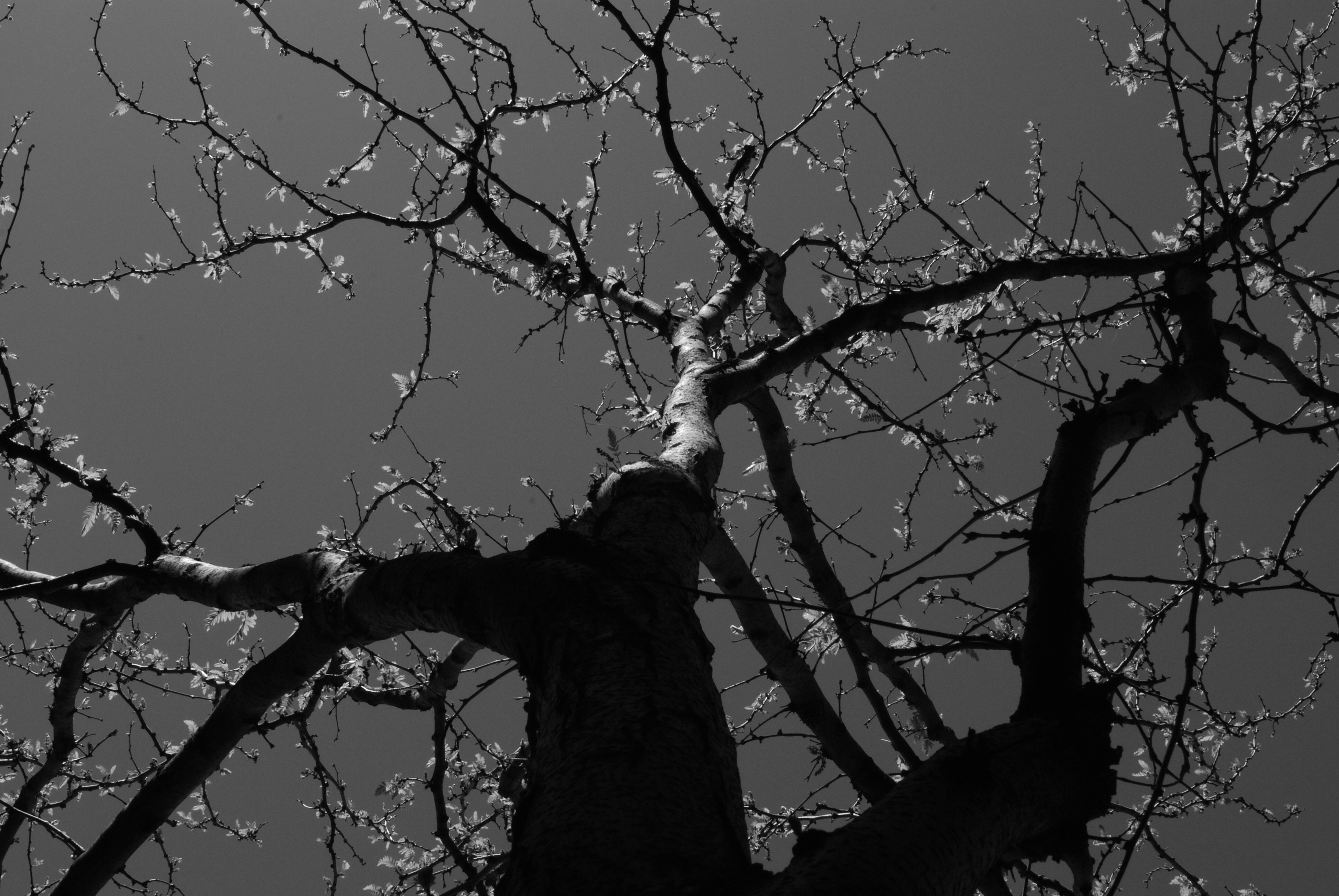 Denver, Colorado 2009