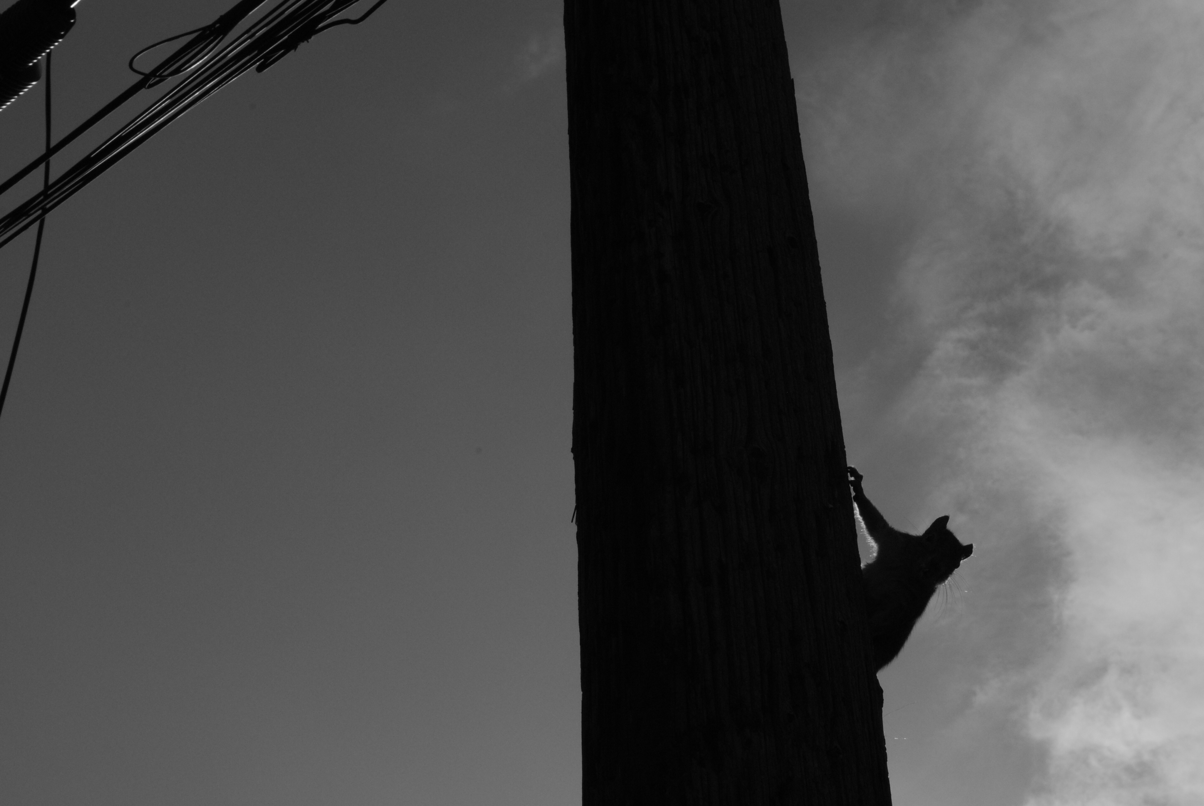 Denver, Colorado 2009